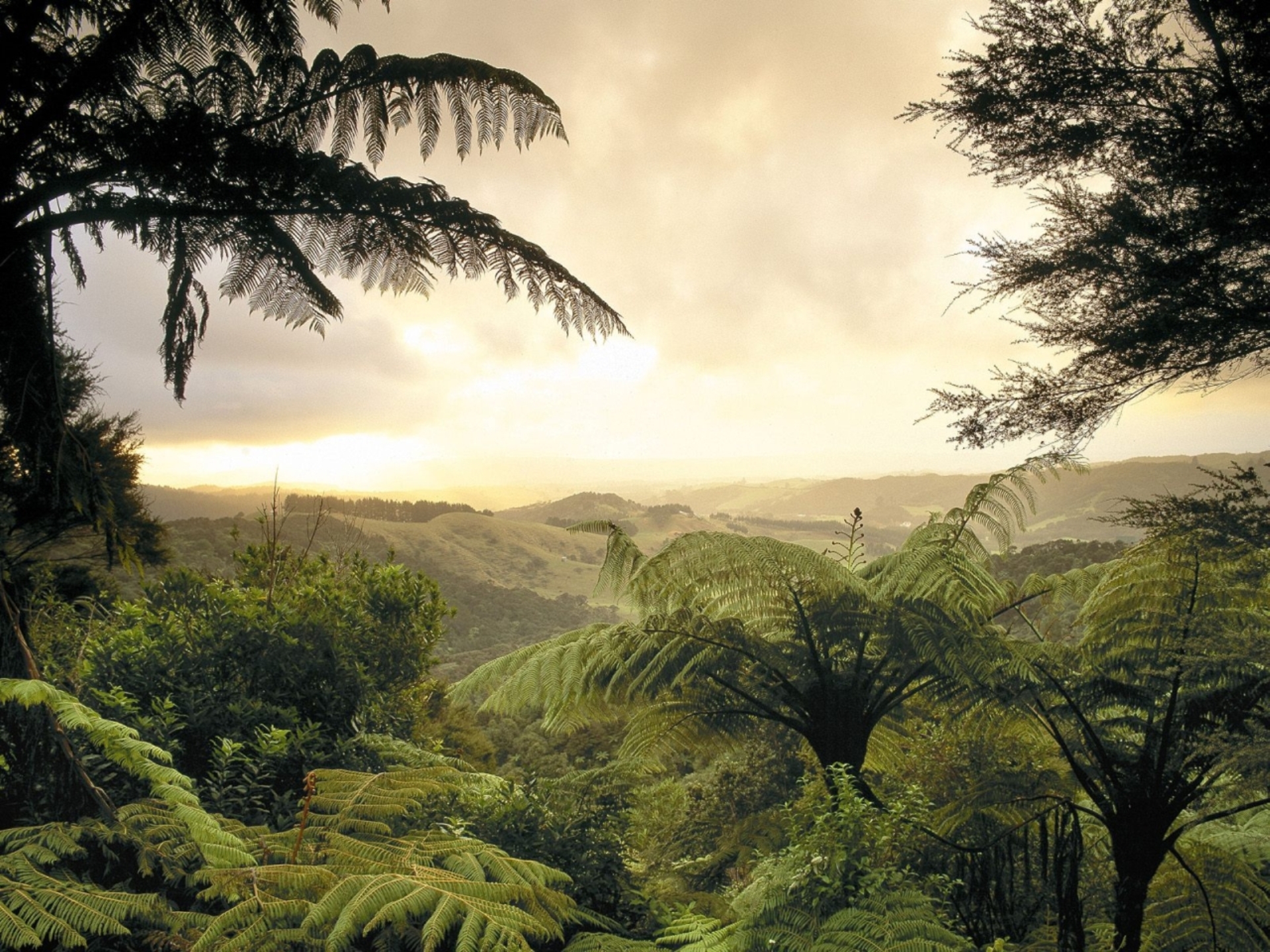 новые, видео, рекордеры