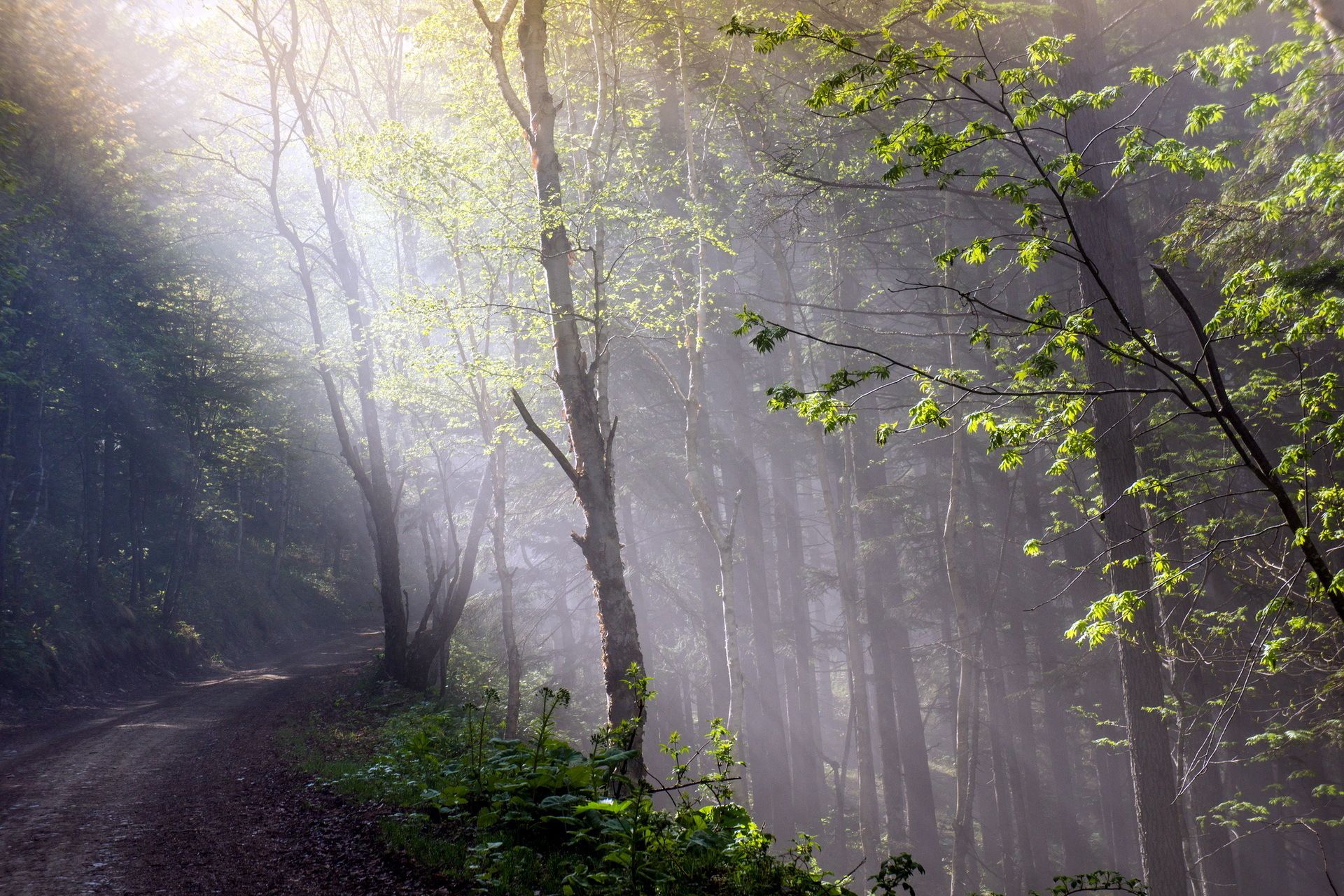 paisajes, naturaleza, sweetos