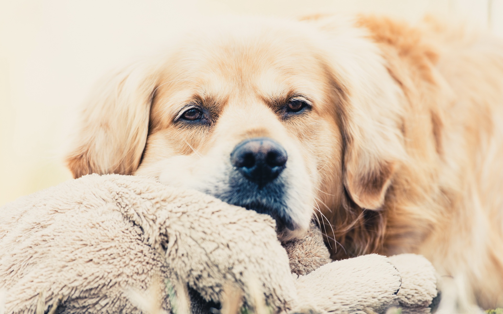 заряженный