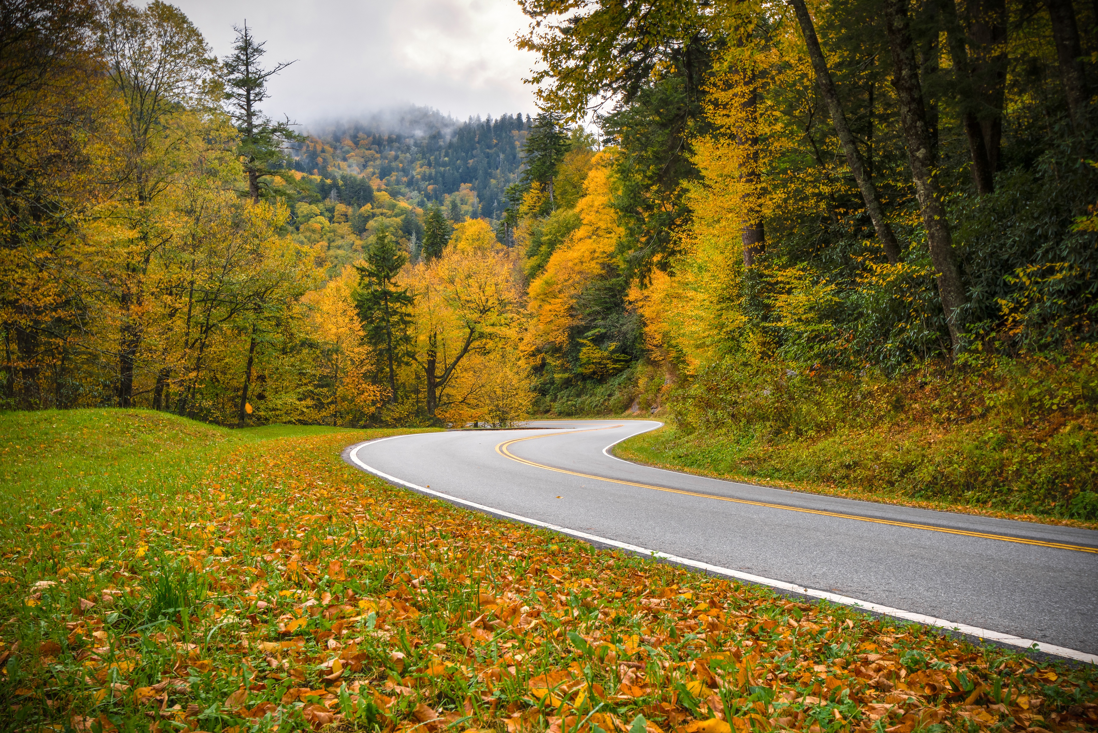 Природа с дорогой. Great Smoky Mountains. Чуйский тракт осень. Осенняя дорога. Природа дорога.