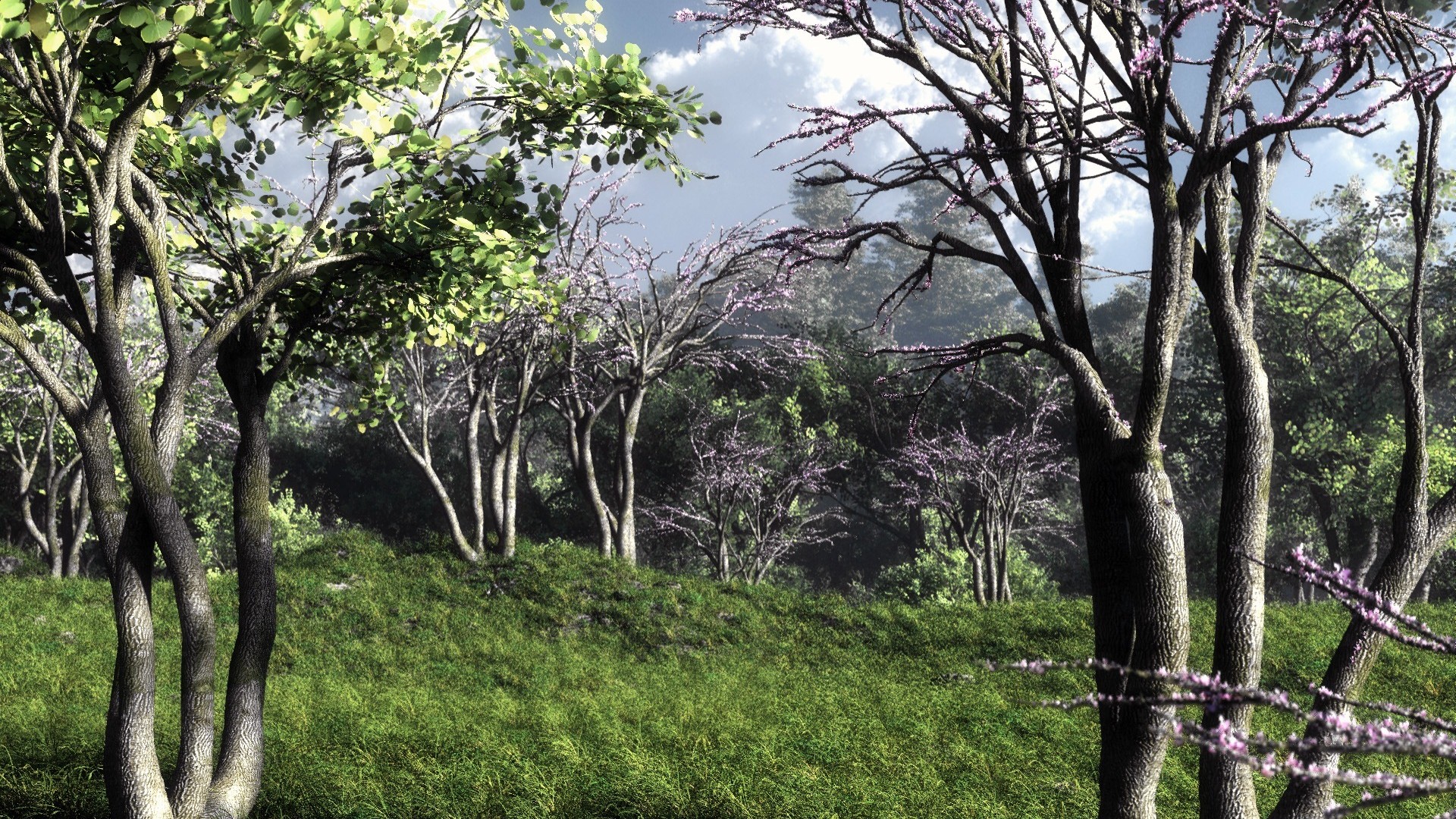 должности, записи