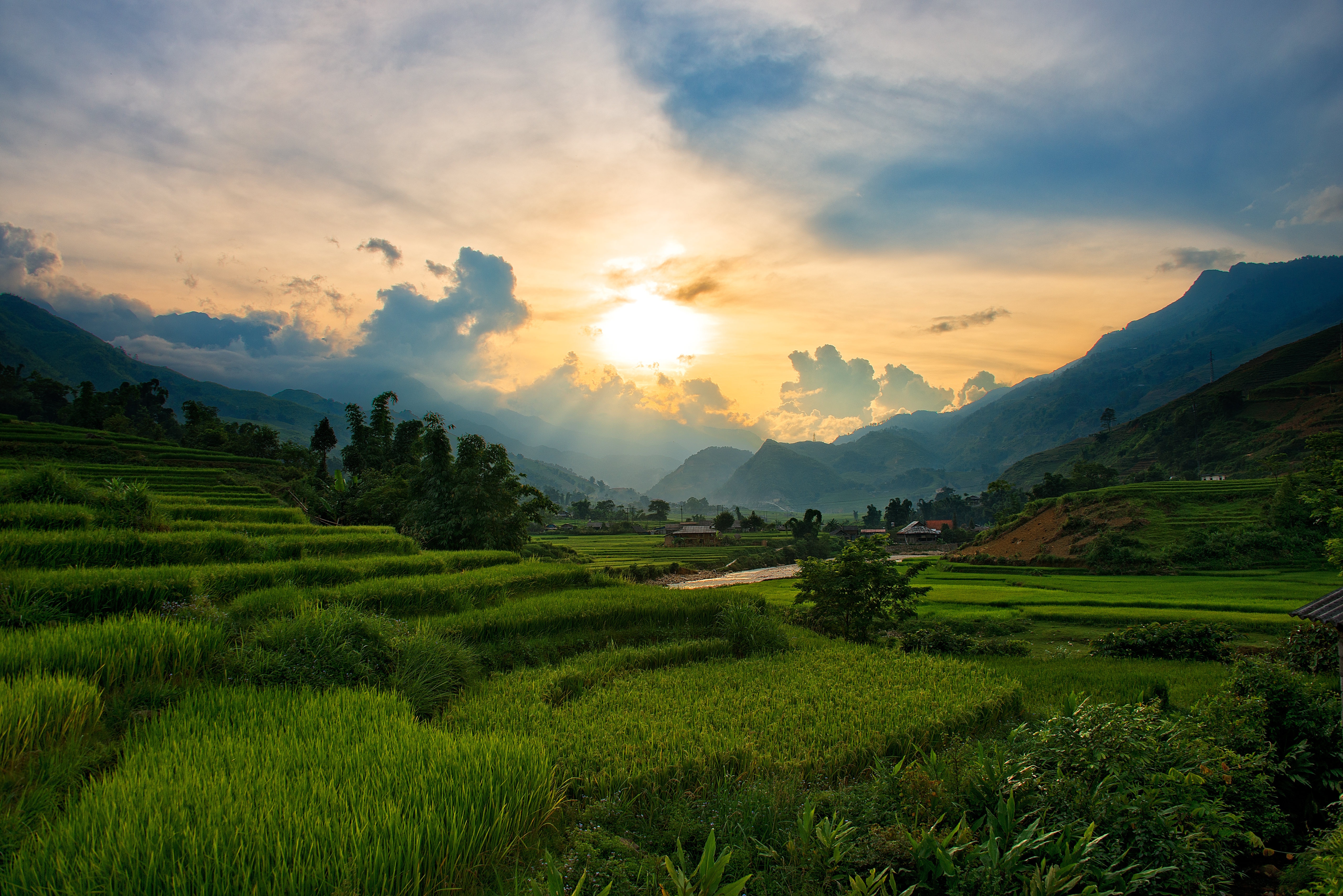 vietnam, редкий
