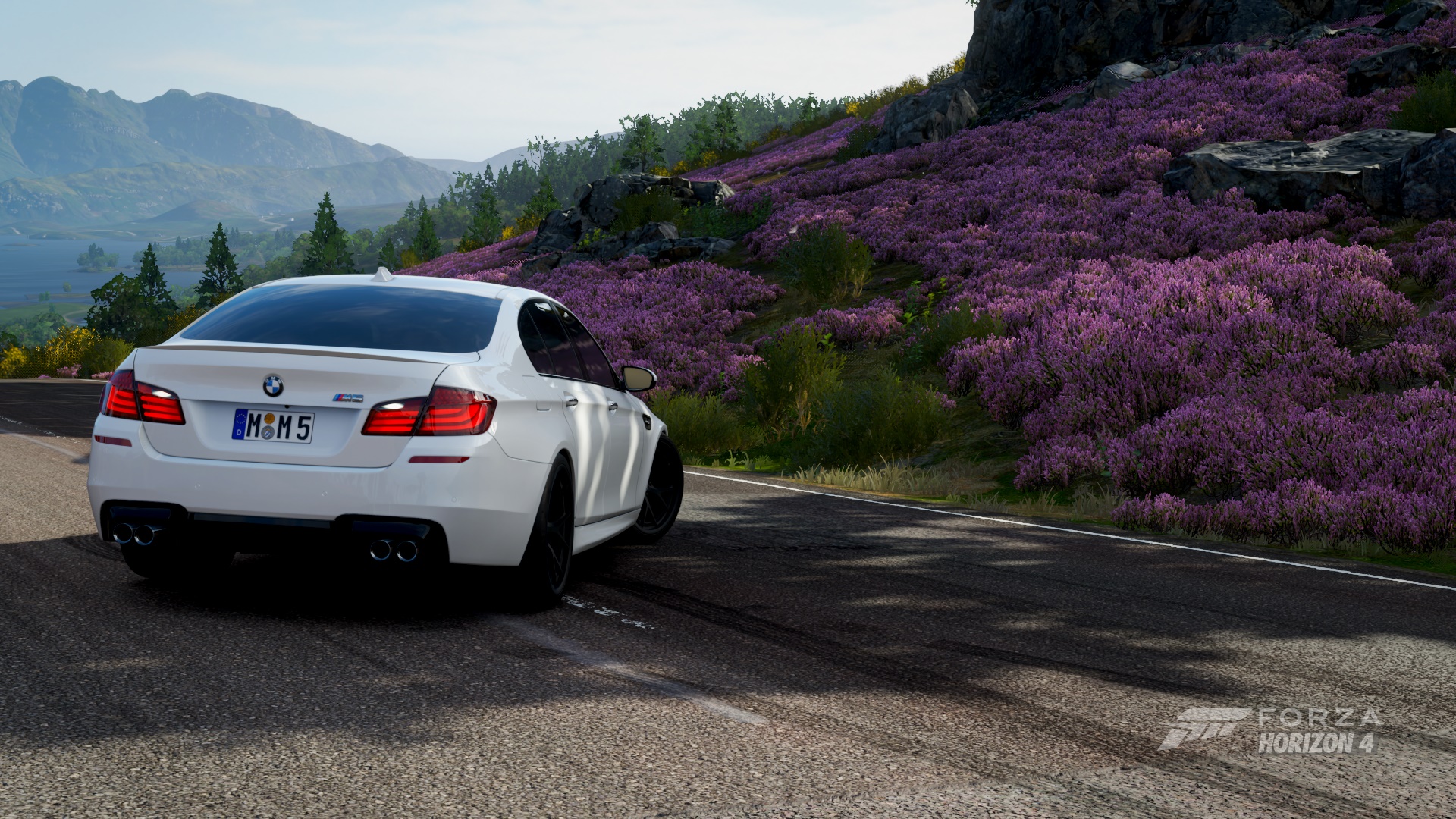 горизонт, араба, белый