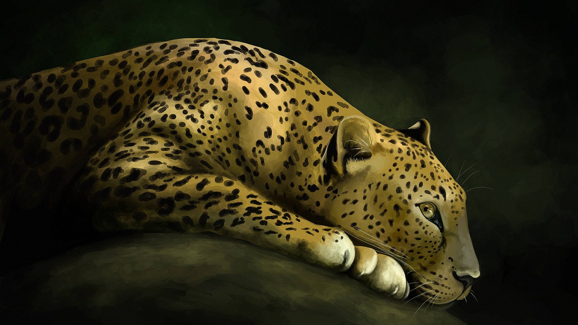 леопард, кот, искусство