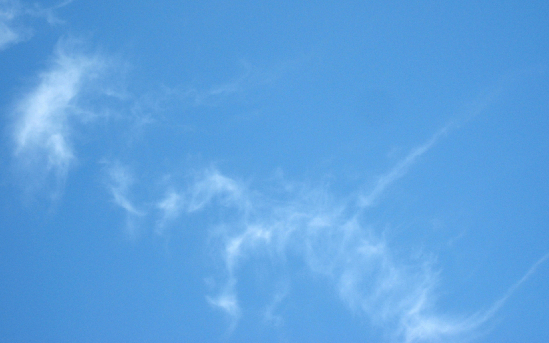 синий, свободный, черный