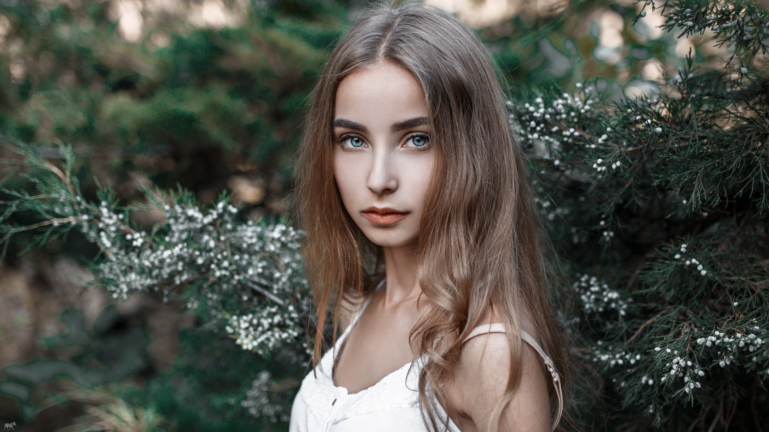 алина, мышцы
