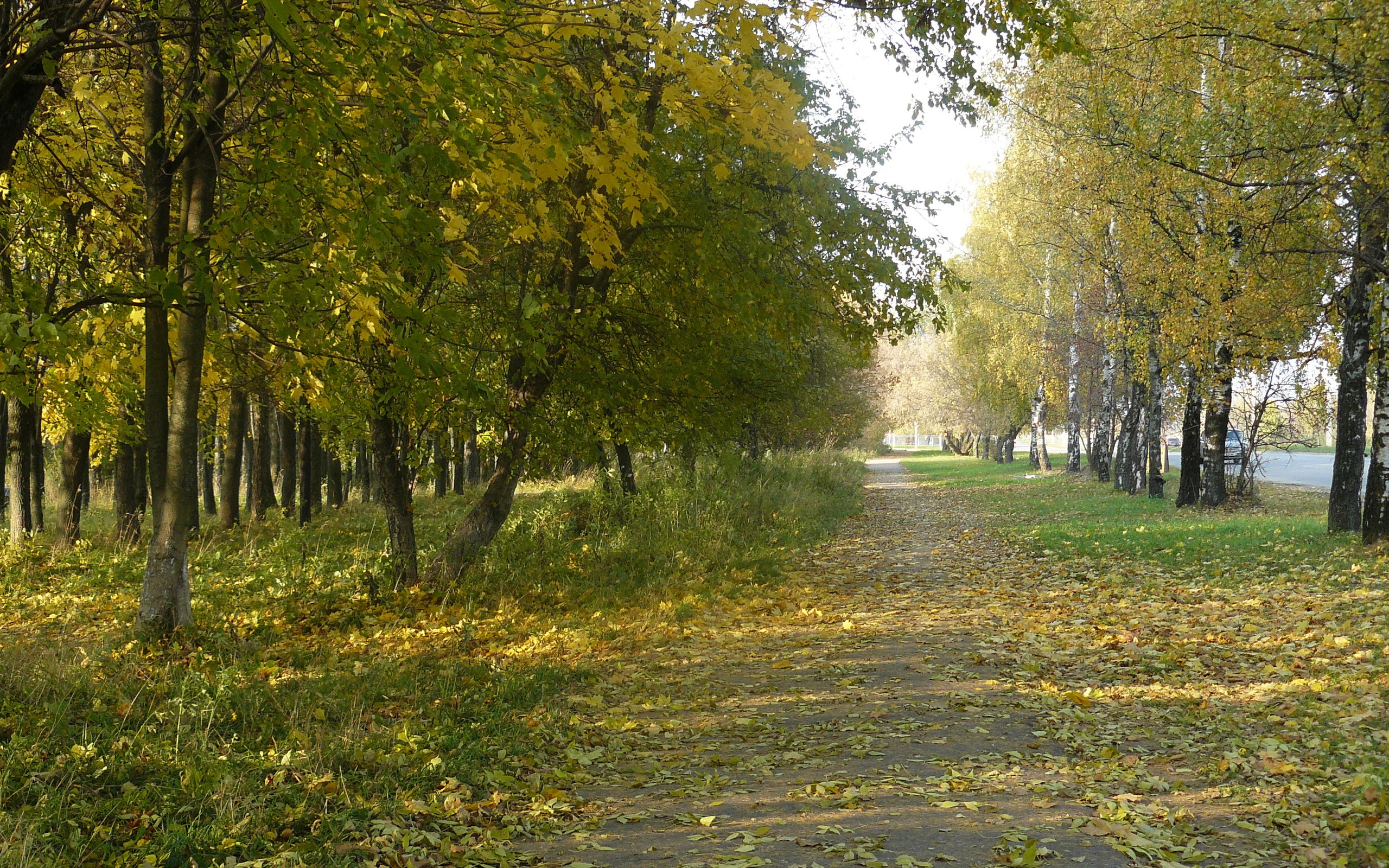 токио, японское