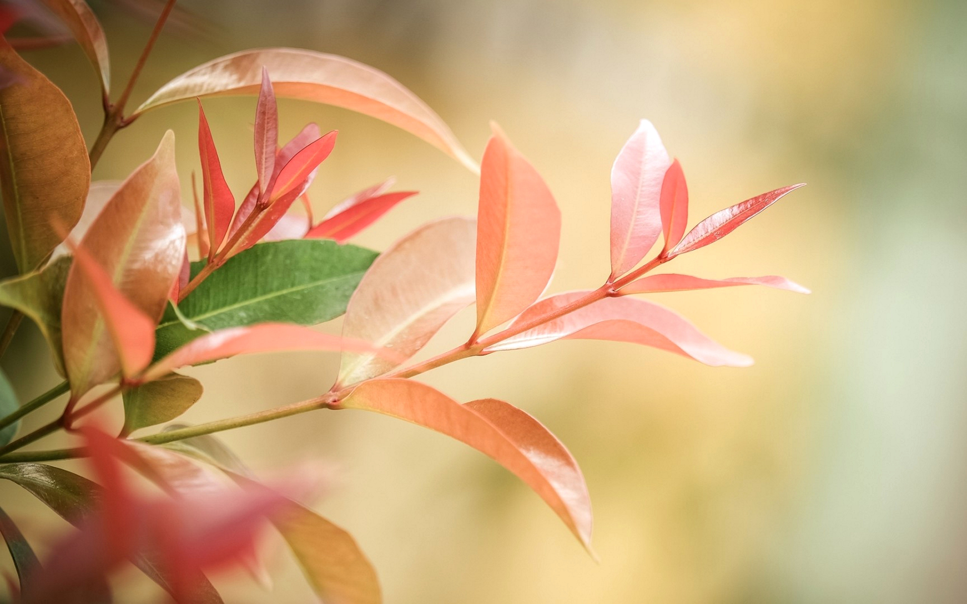 спокойные, world, pinterest