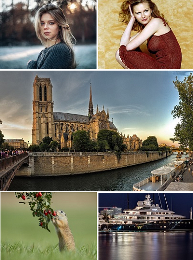 notre, dame, париж