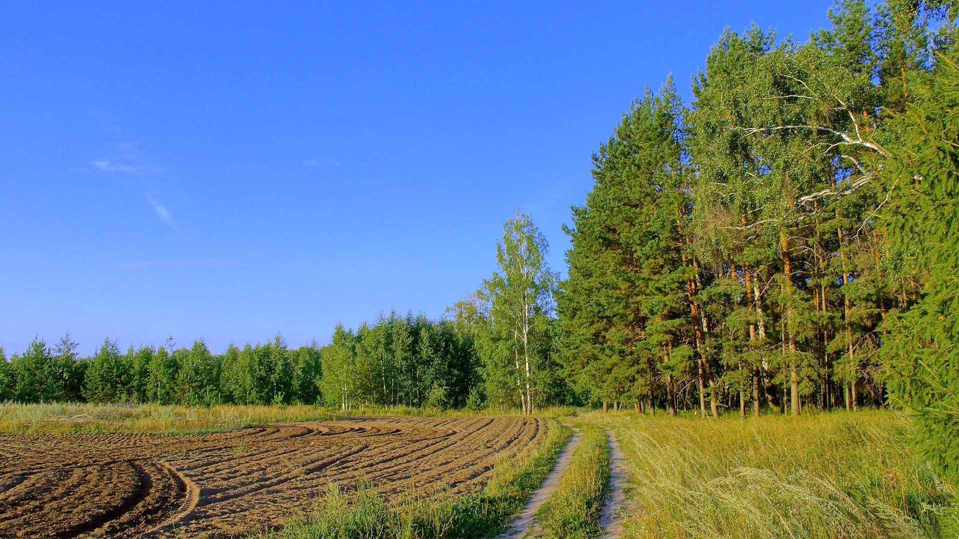 премия, премия, премия
