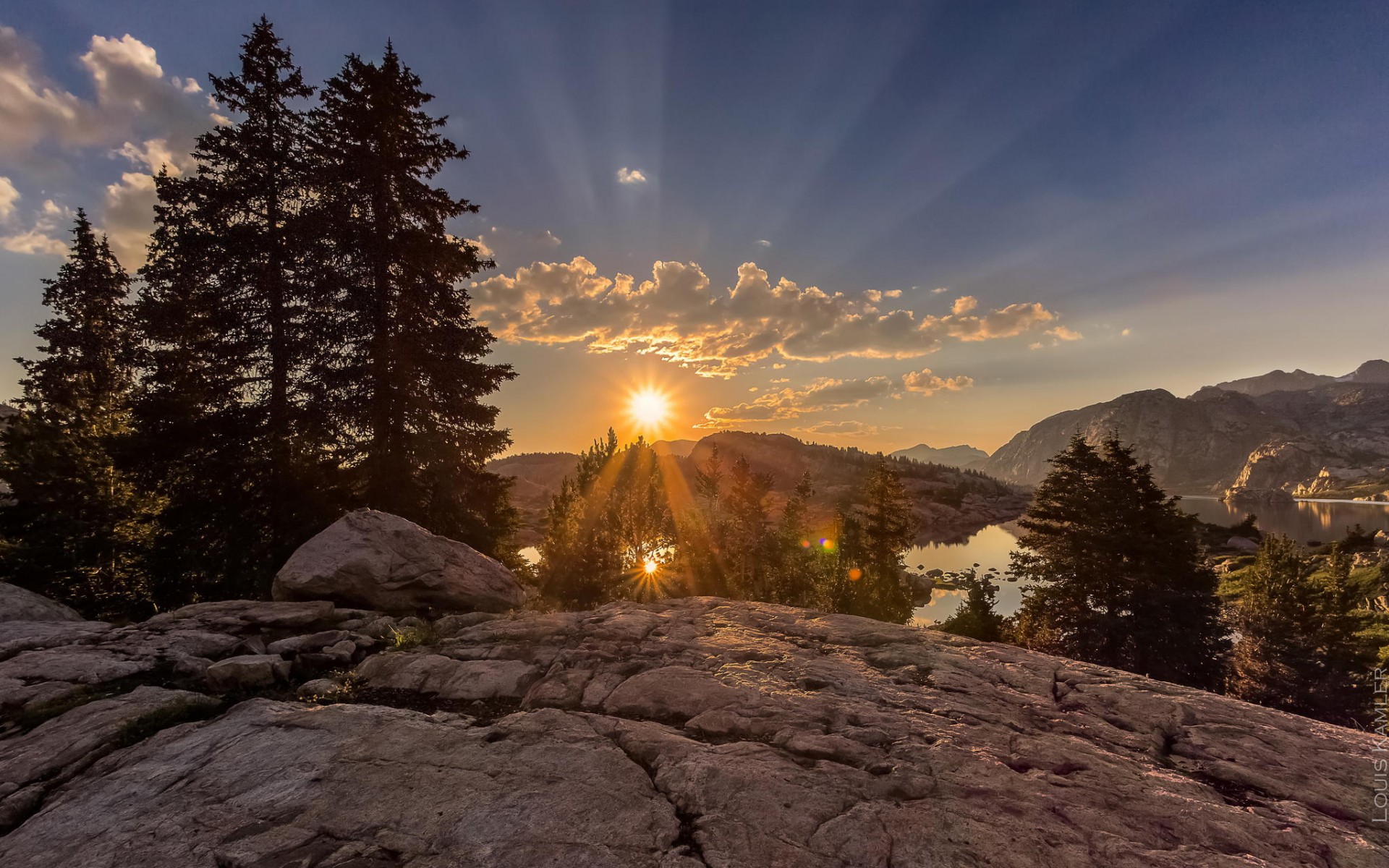 деревья, пейзаж