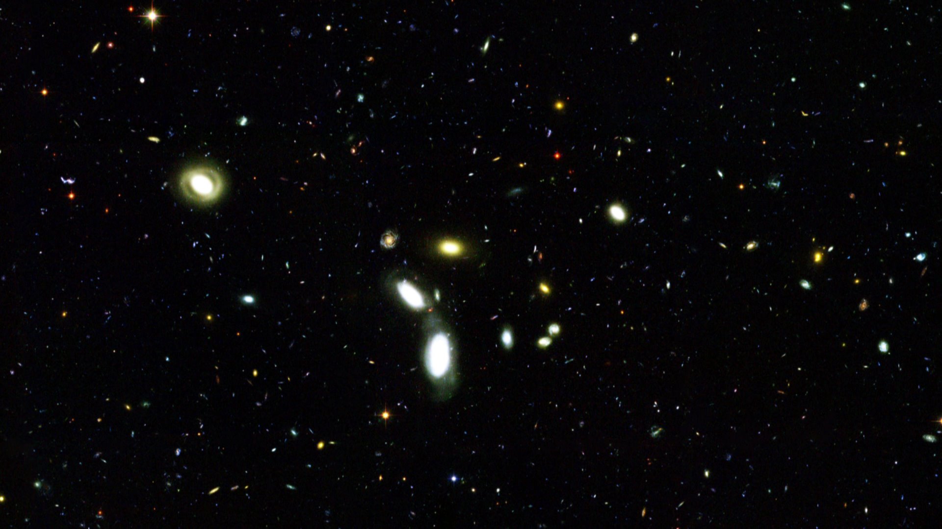 товар, смерть