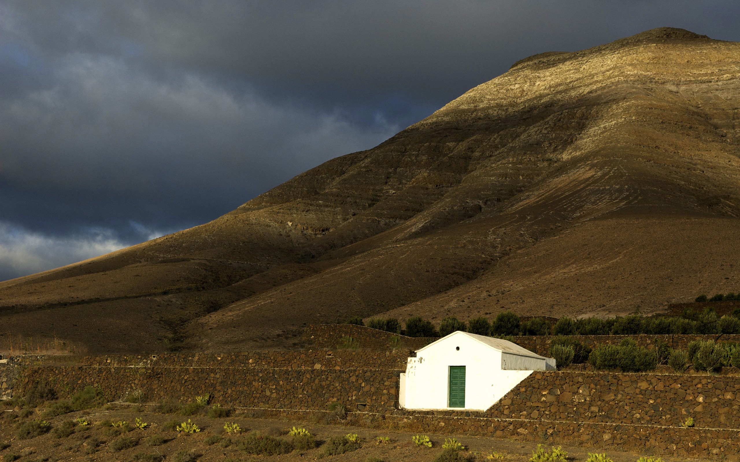 кукла, крабабрази