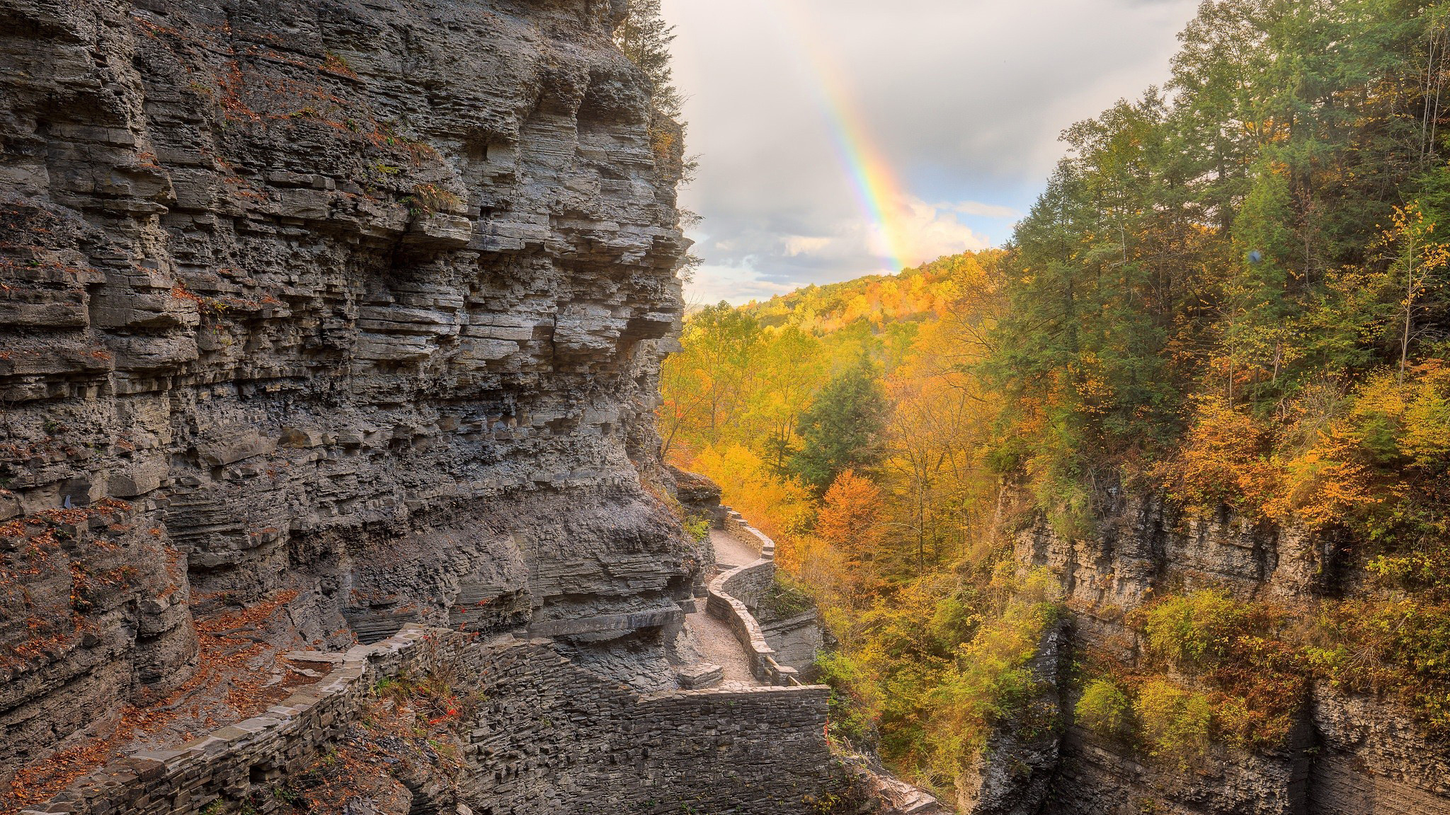 земля, наука