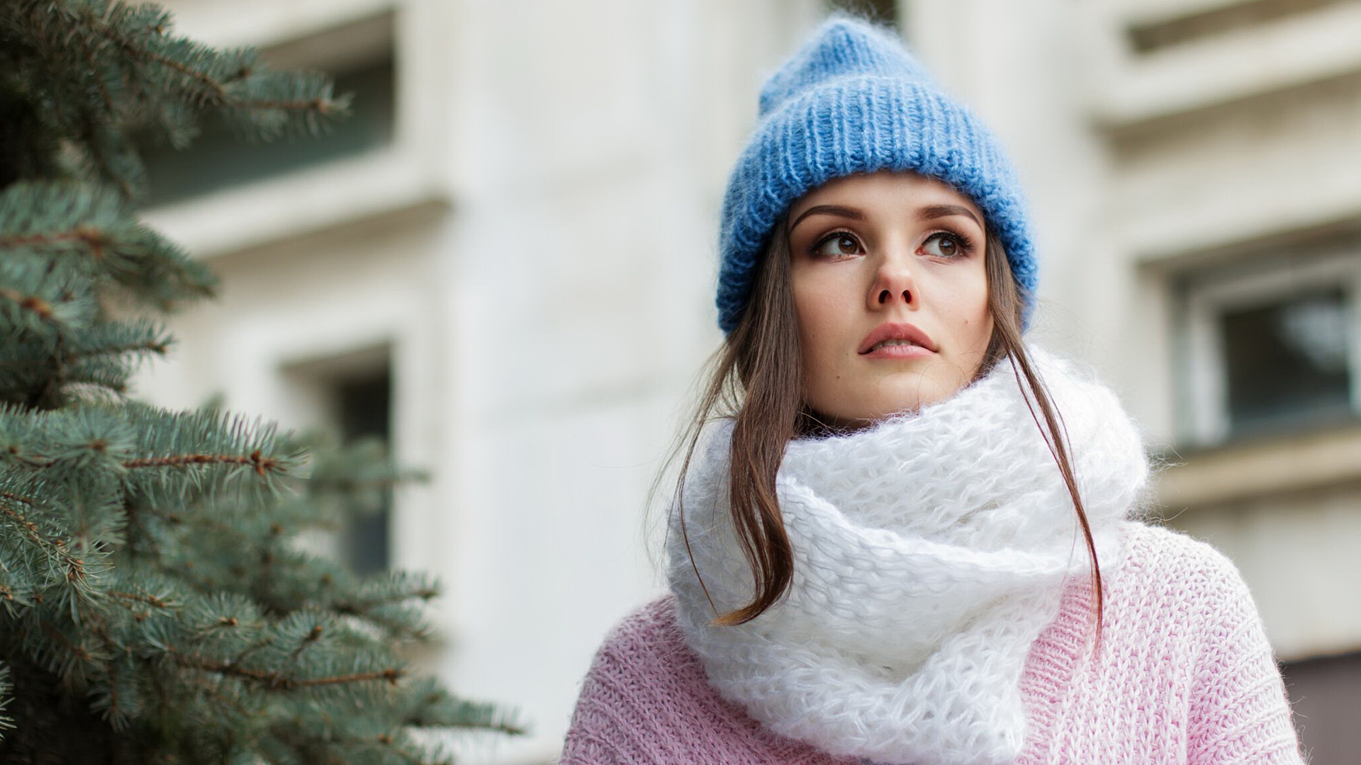 износ, дело