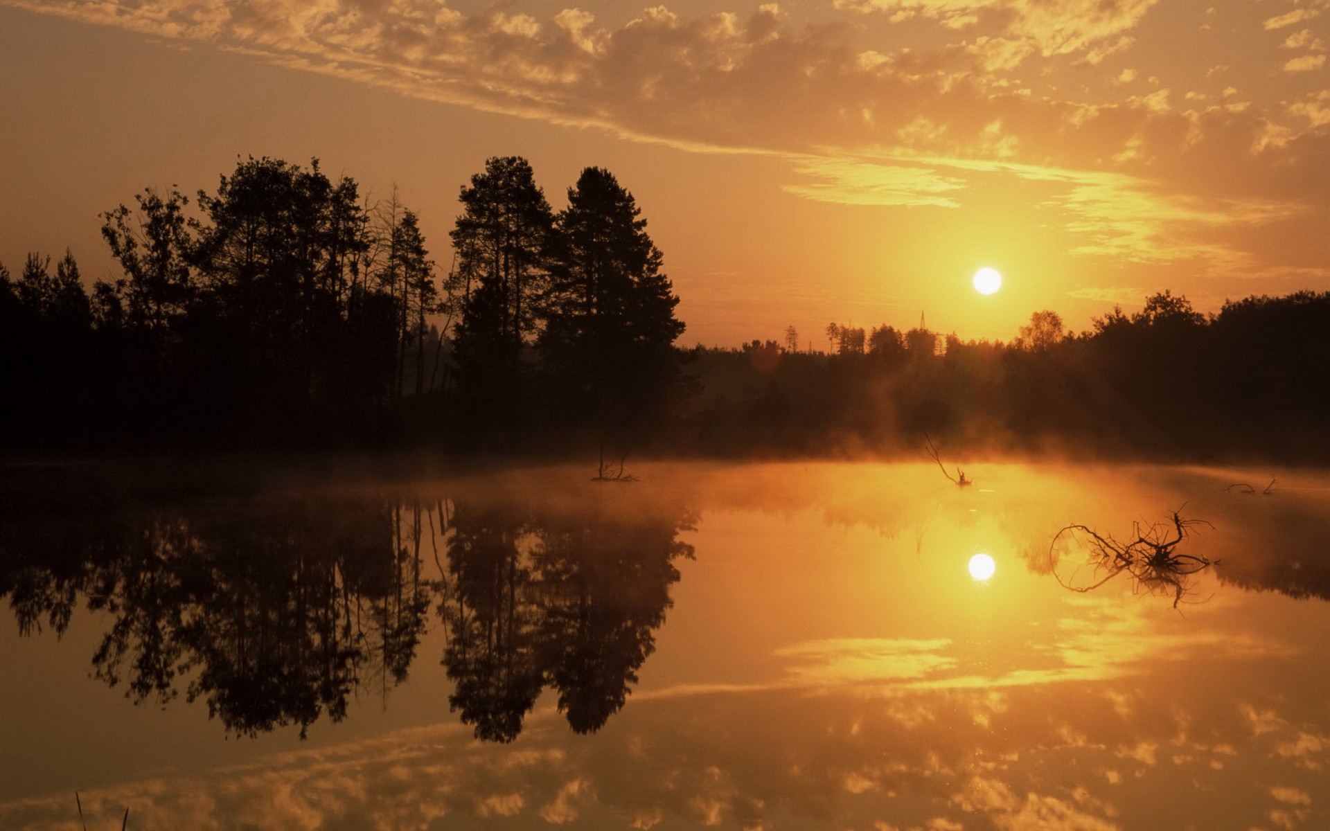 живо, вода