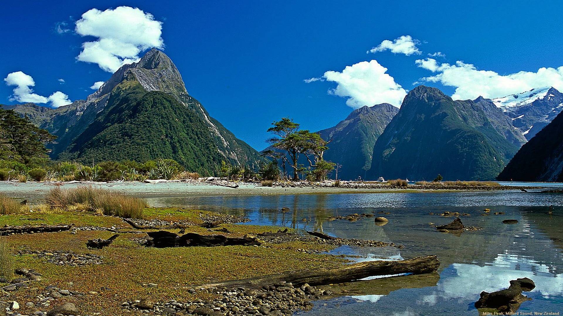 новая зеландия, звук