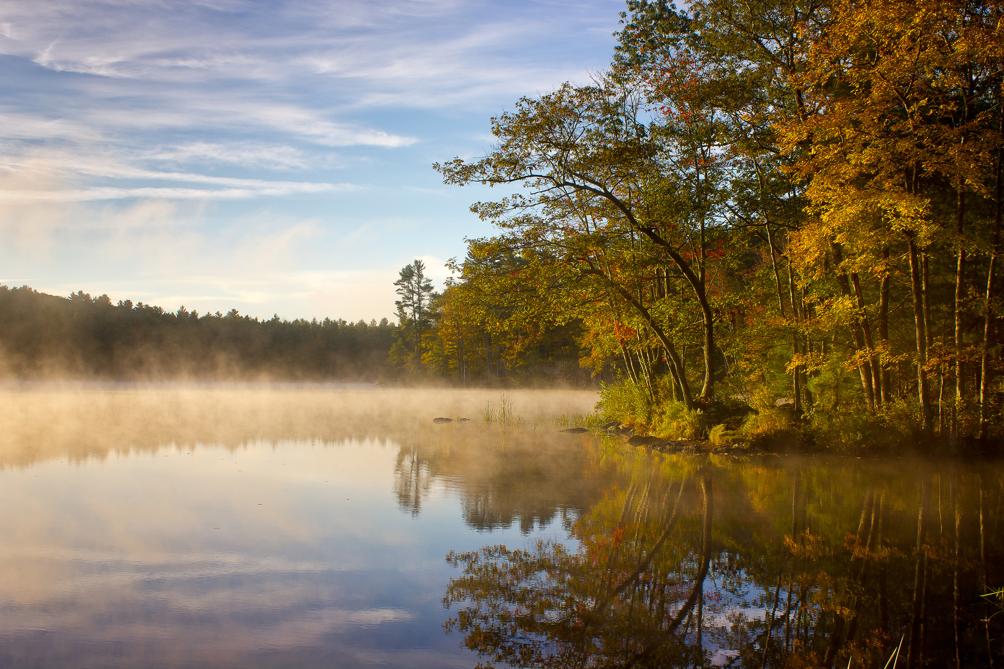 Бежит река в тумане тая слушать. Река Шередарь Владимирская область. Утро на озере. Озеро в лесу. Утро лес река.