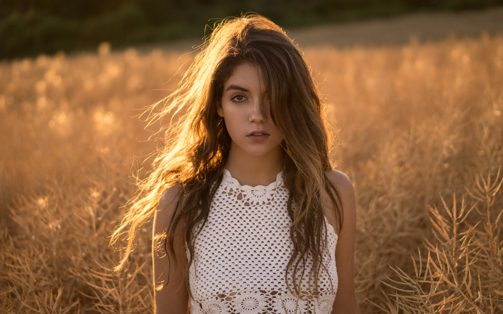martin, zoe