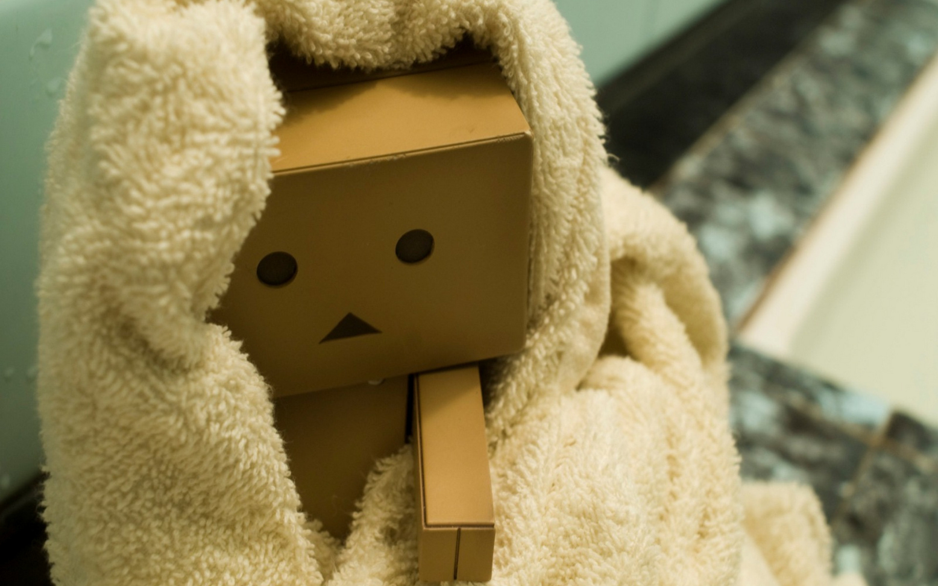 danbo