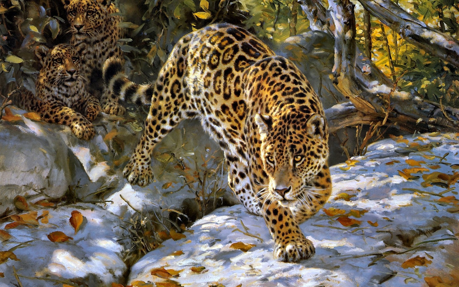 природа животные снег зима ягуар загрузить