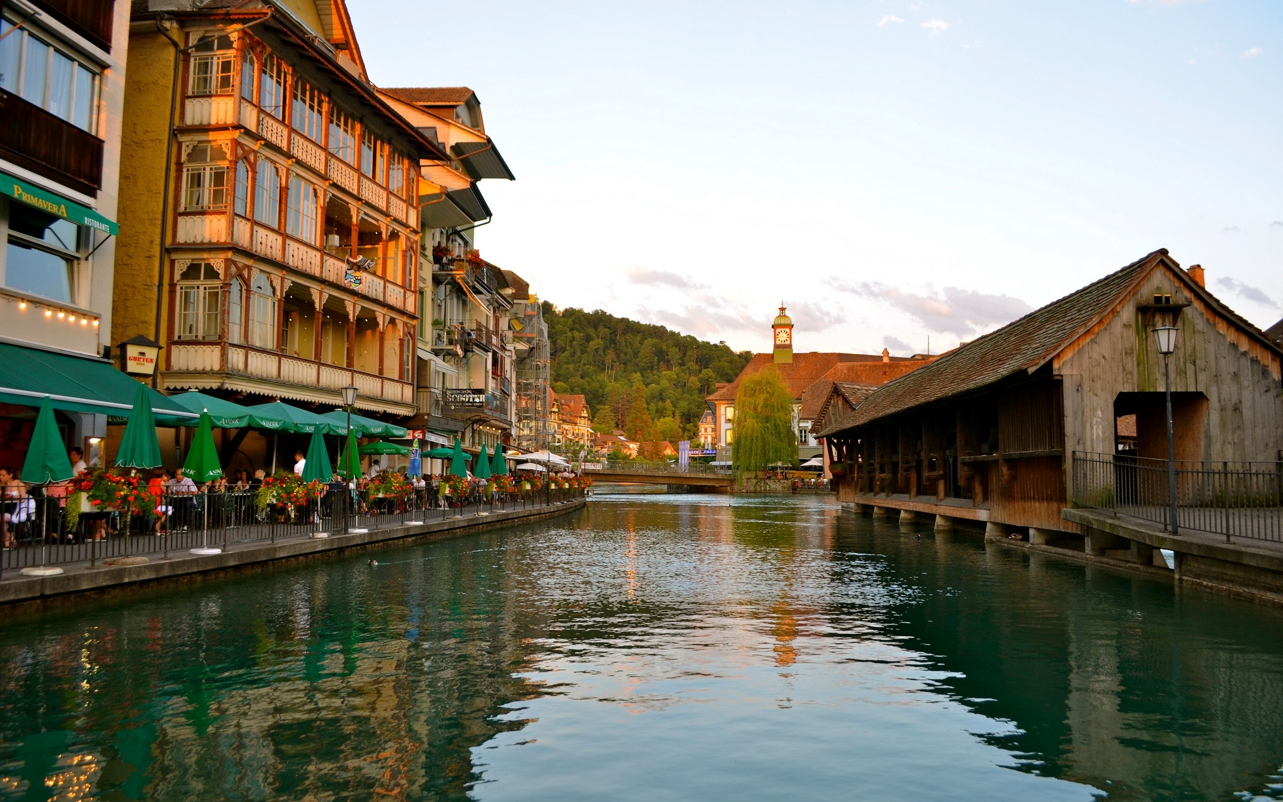 thun, schwingeninswitzerland, швейцария