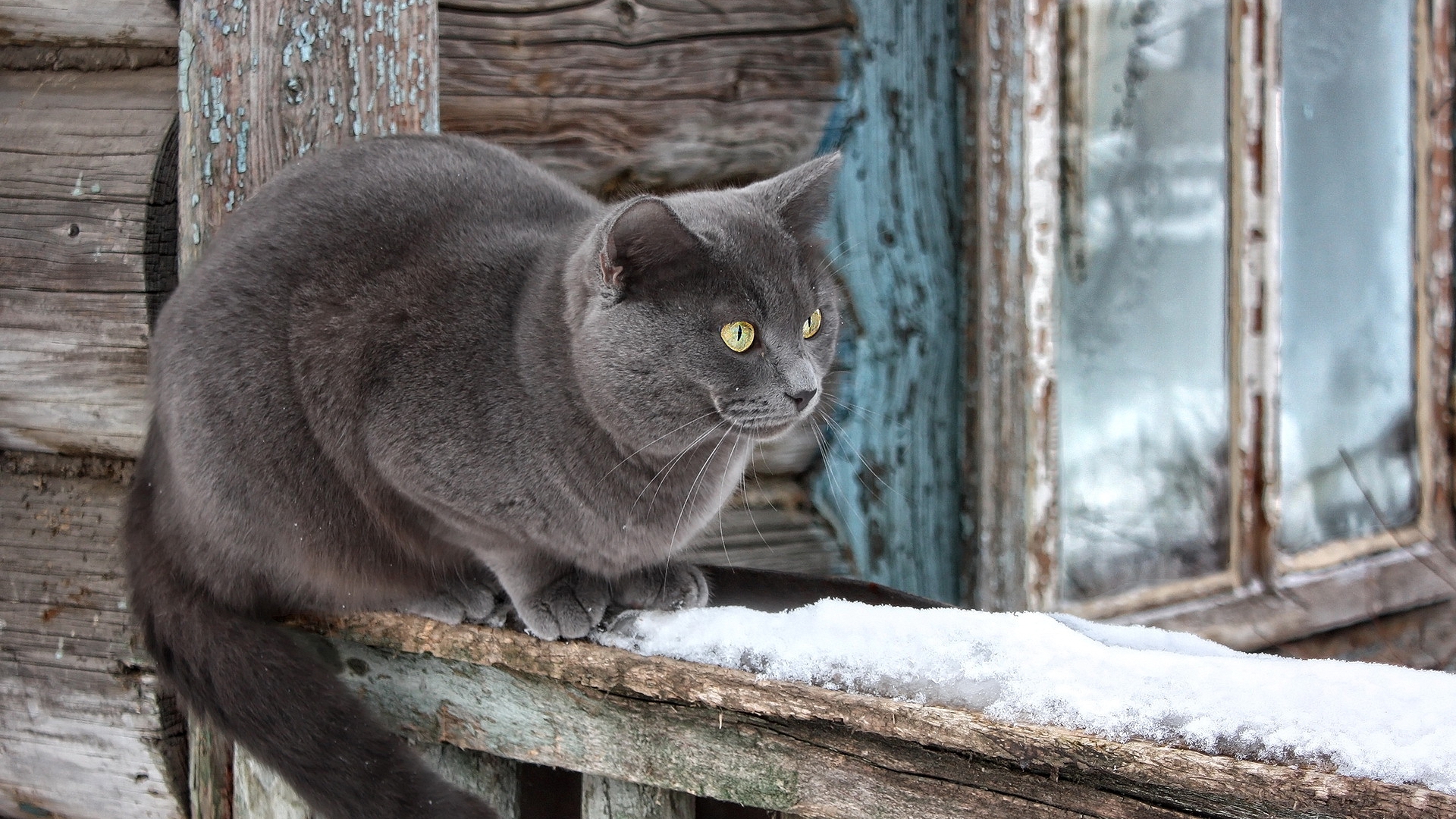 костюм, фото, адоб