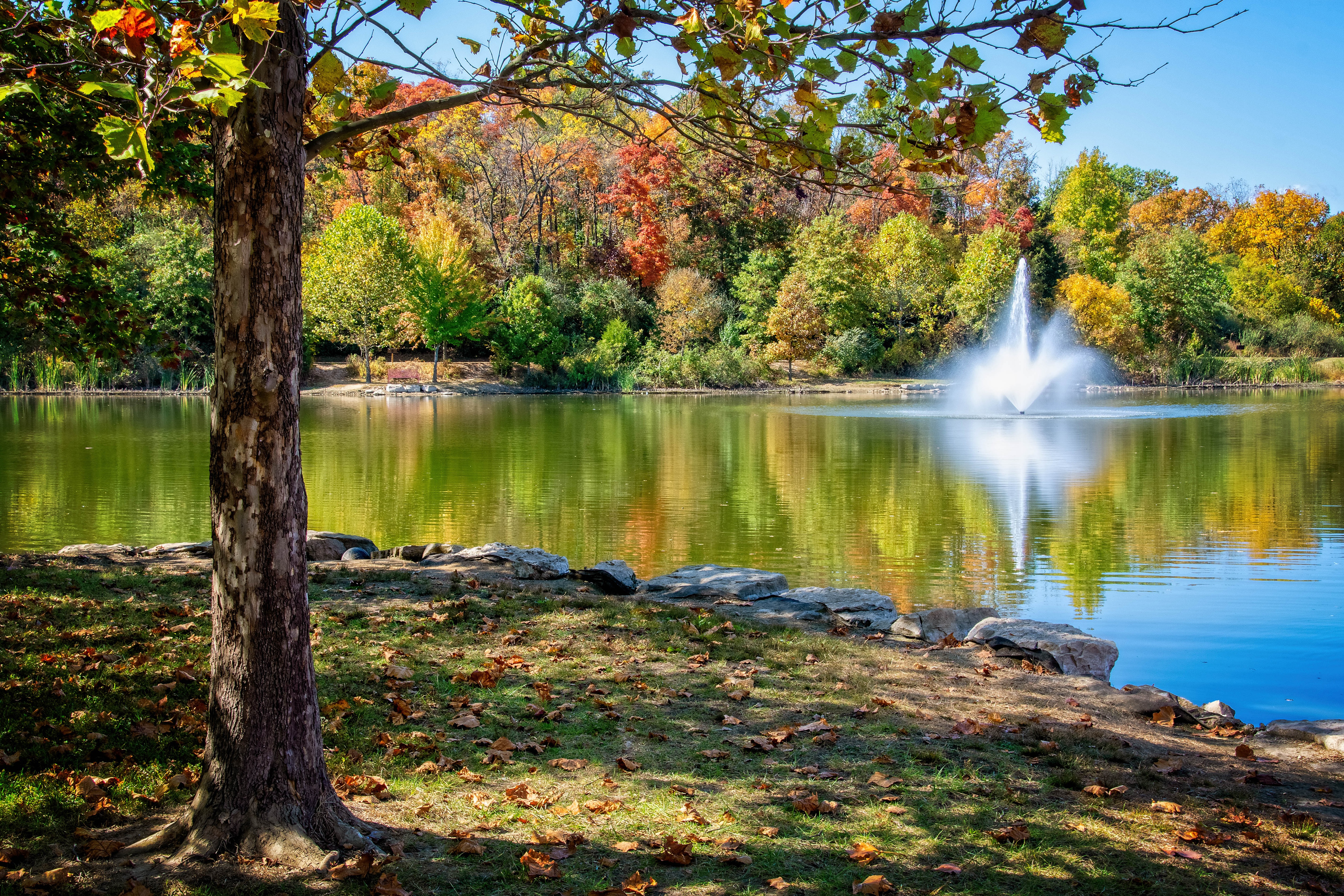 park, осень, missouri
