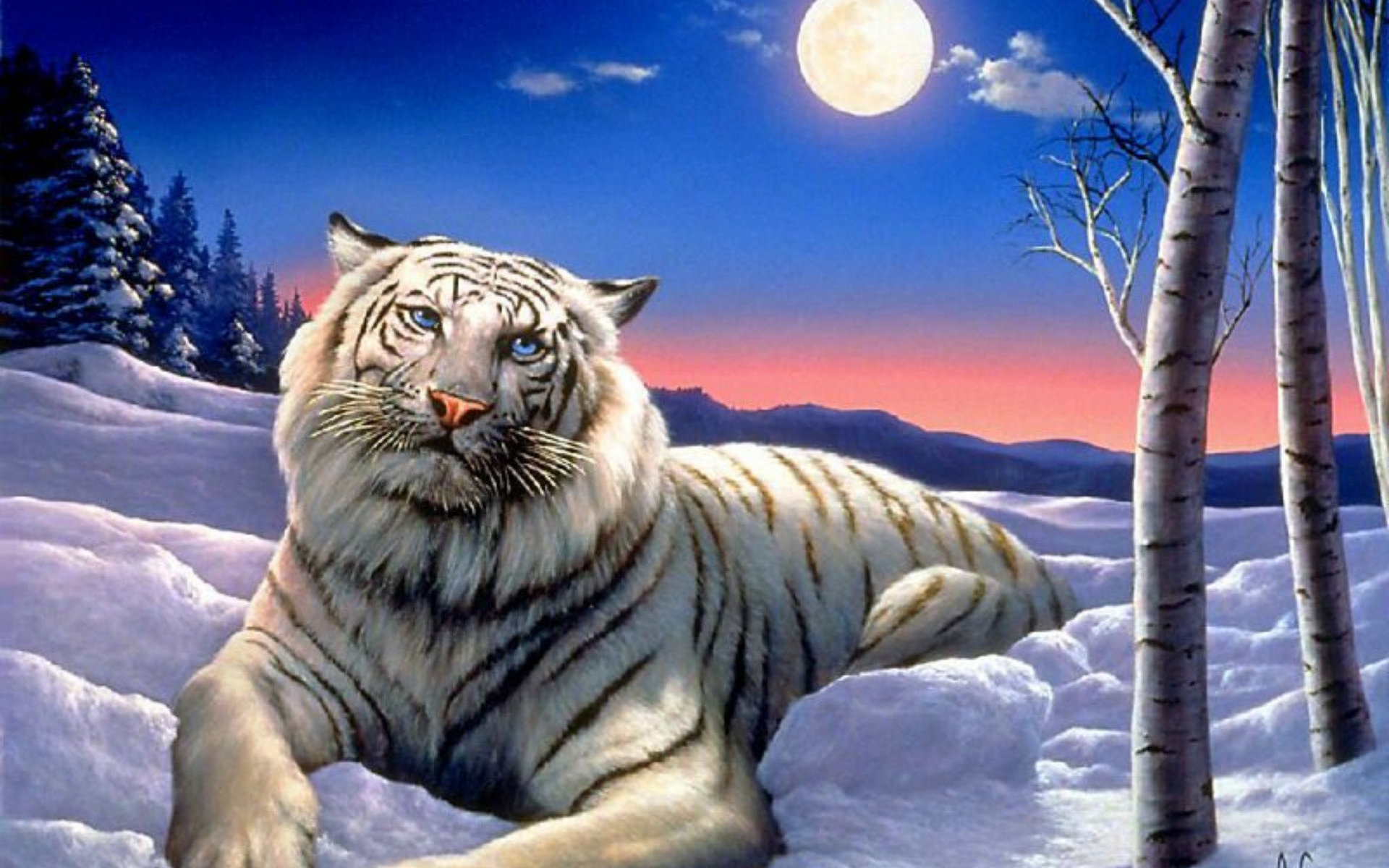 Белый тигр анимация