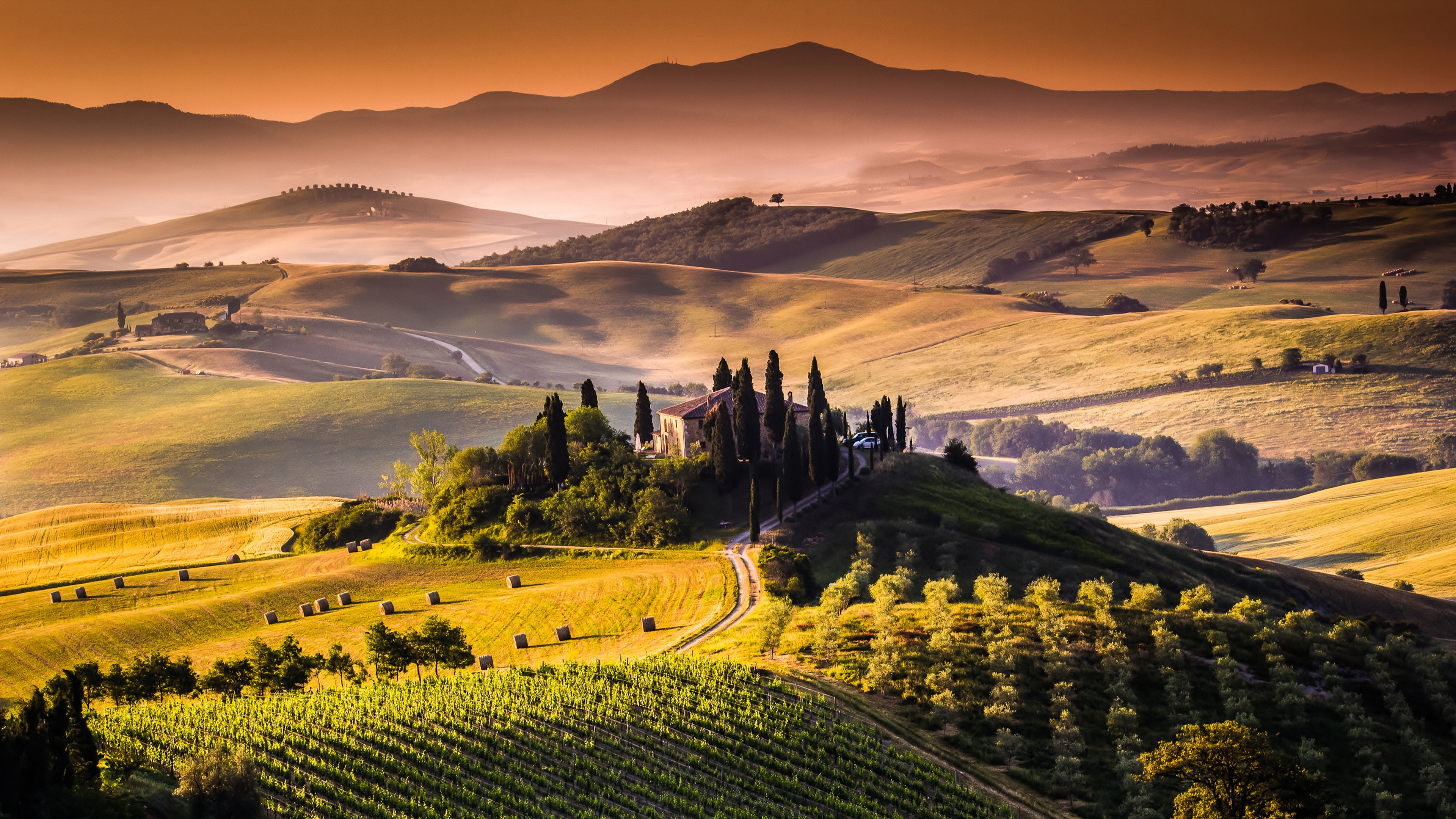 trang, tuscany