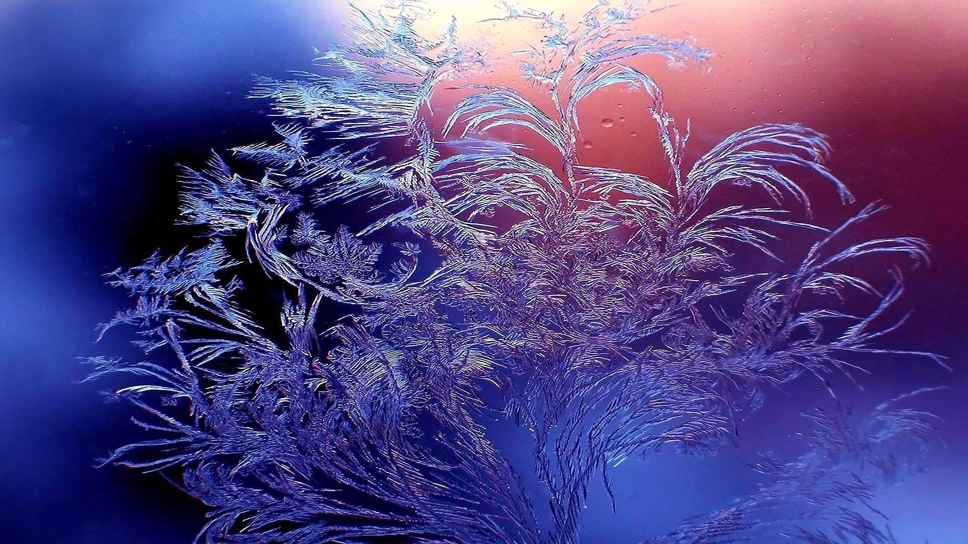 шаблон, фото