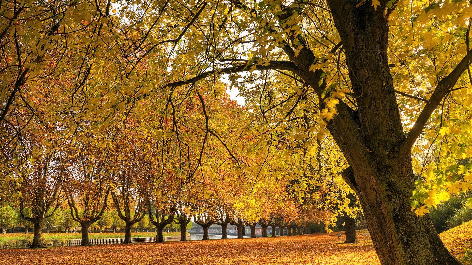 quem, conforto, mensagen