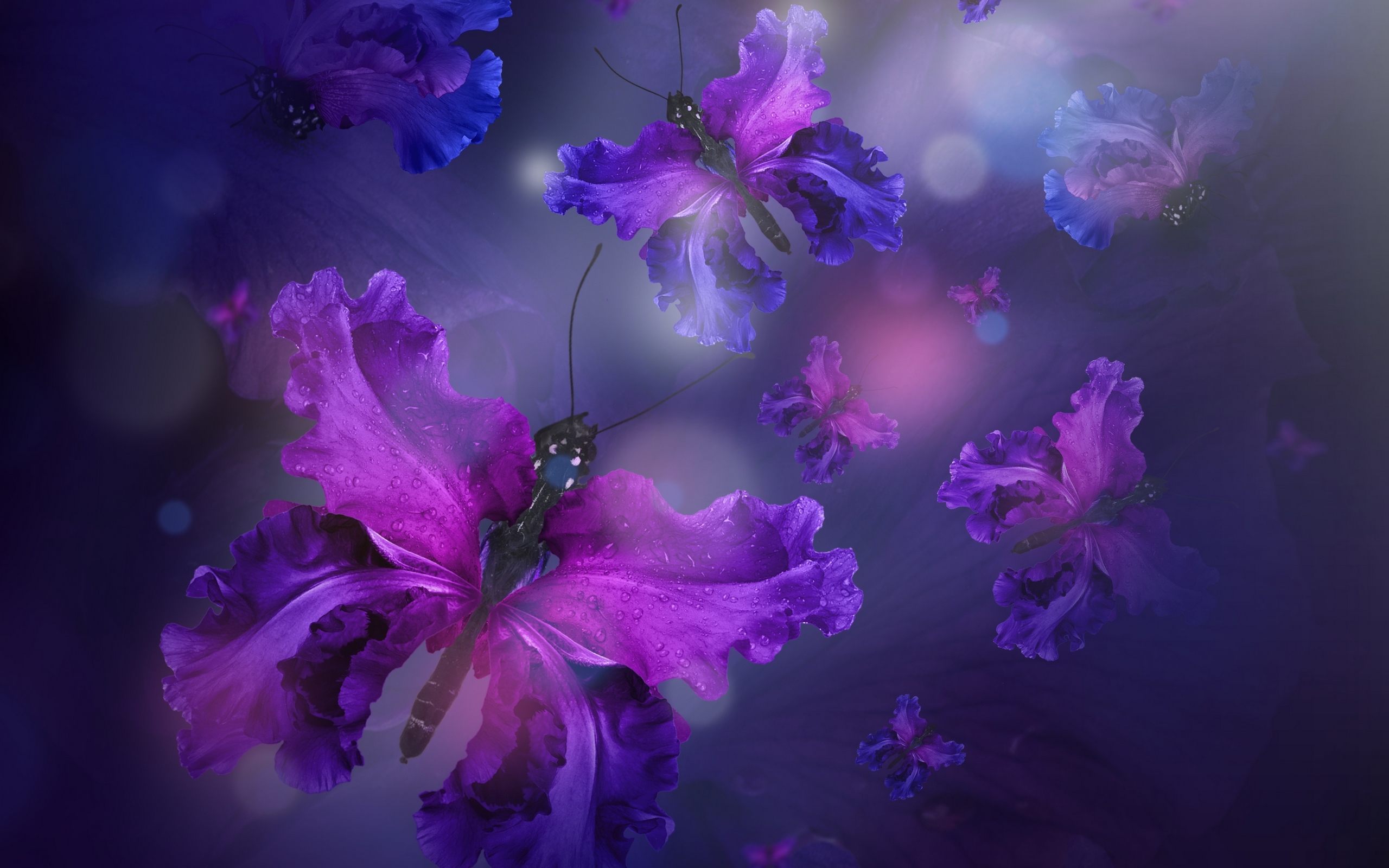 точка, цвет, искусство