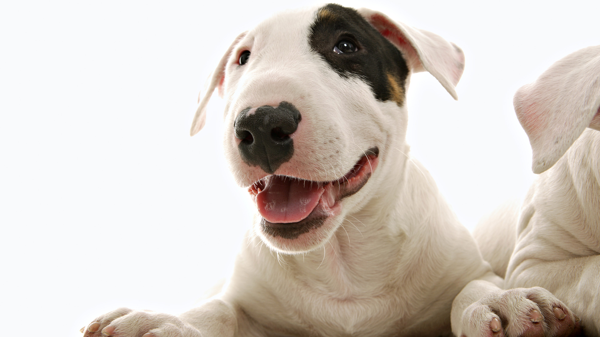 глаз, черный