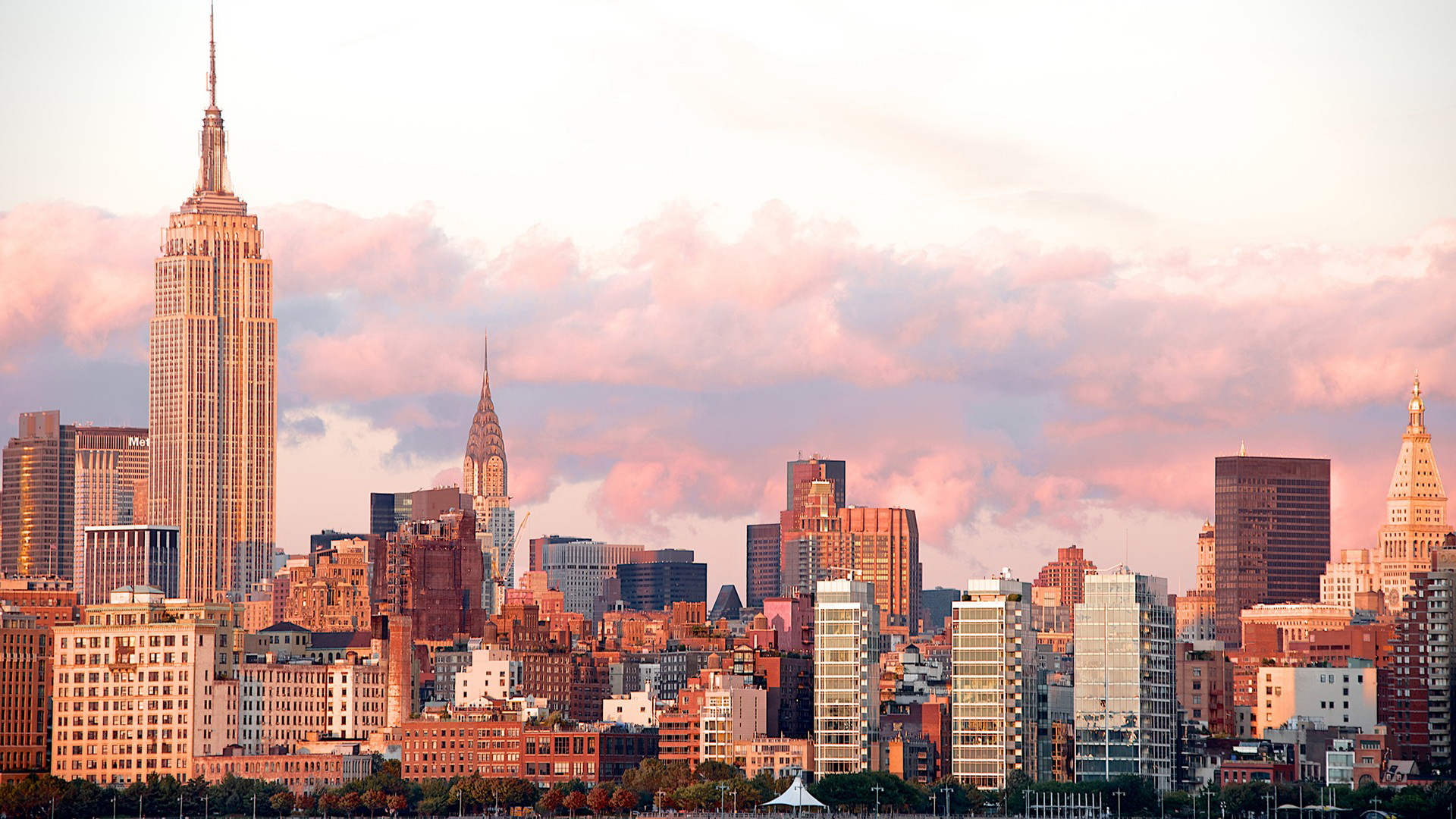 NYC LANDSCAPES