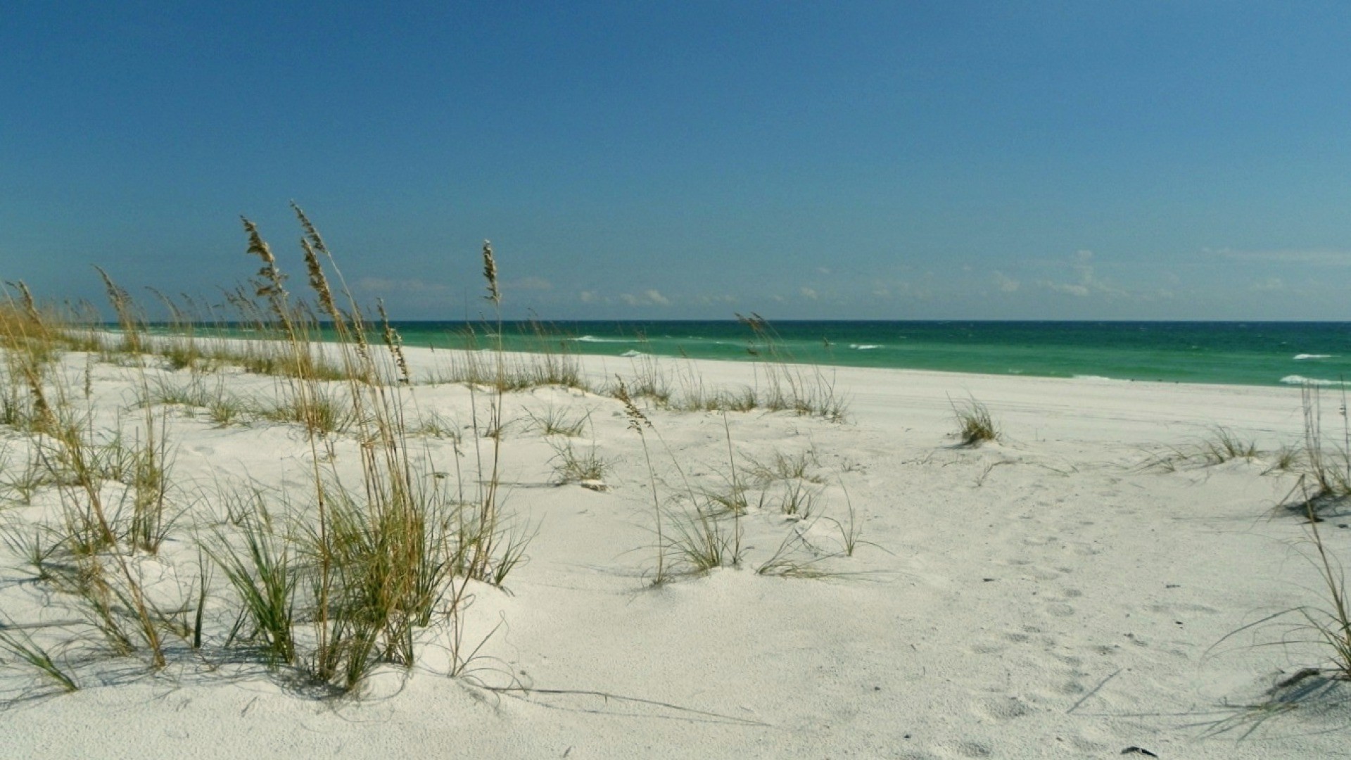 холст, амазон, холст