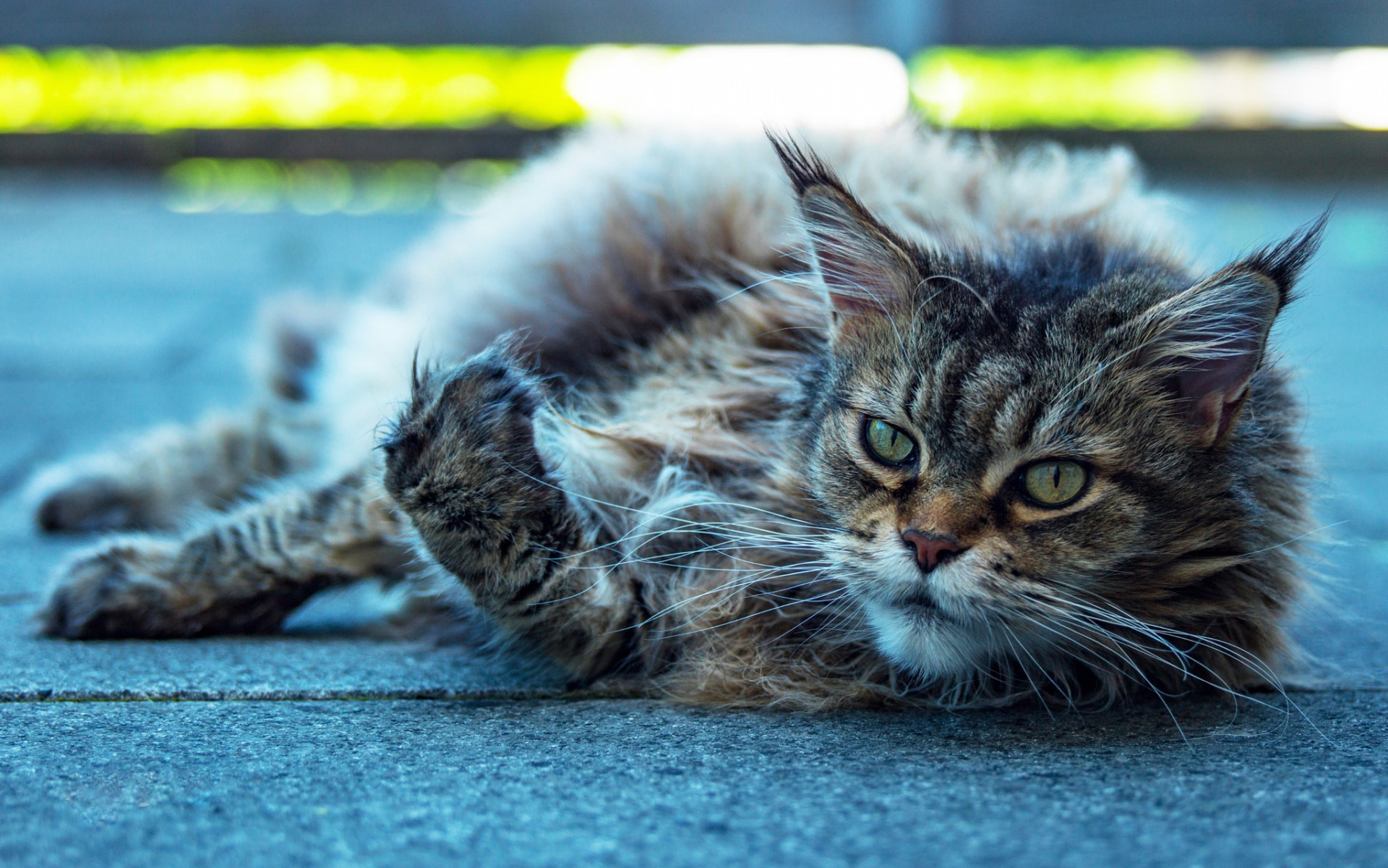 мян, кун, кун