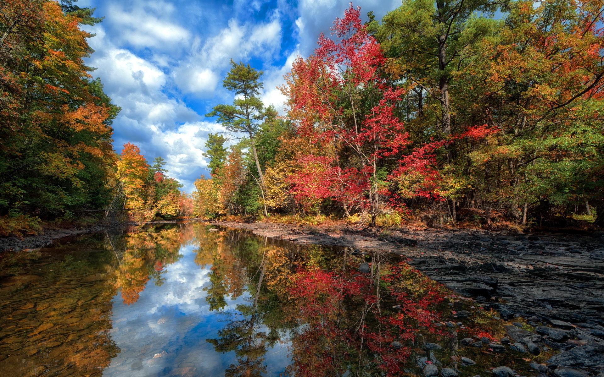 Осень вода отражение лес речка без смс