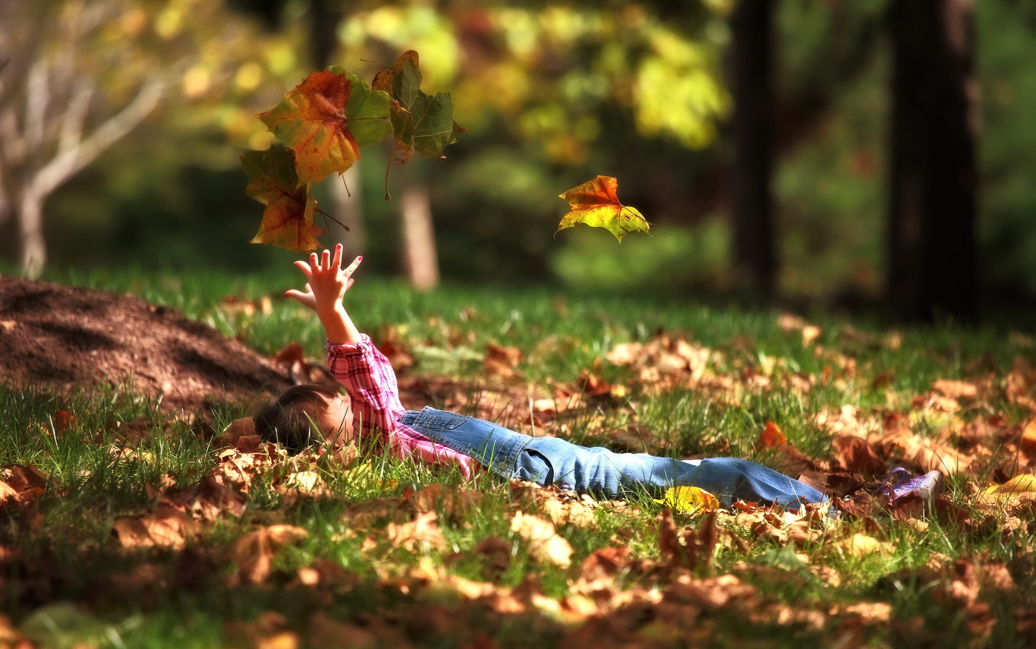 фото, пасть