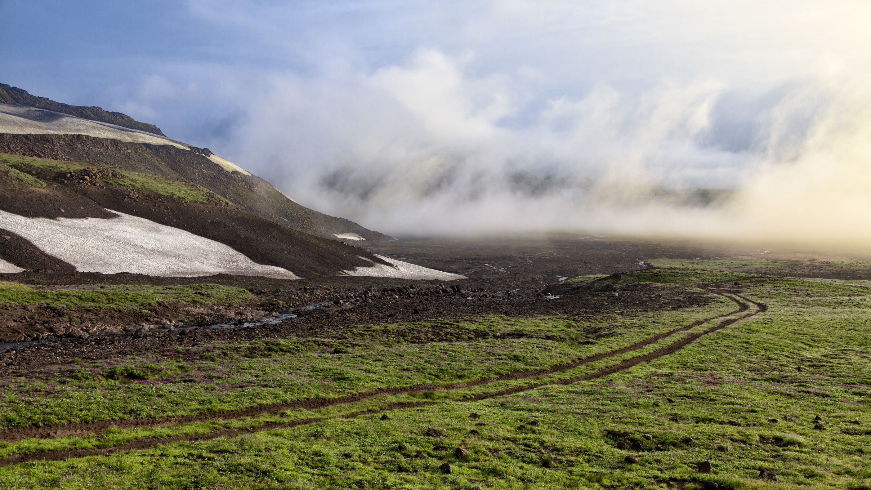 Природа 152524