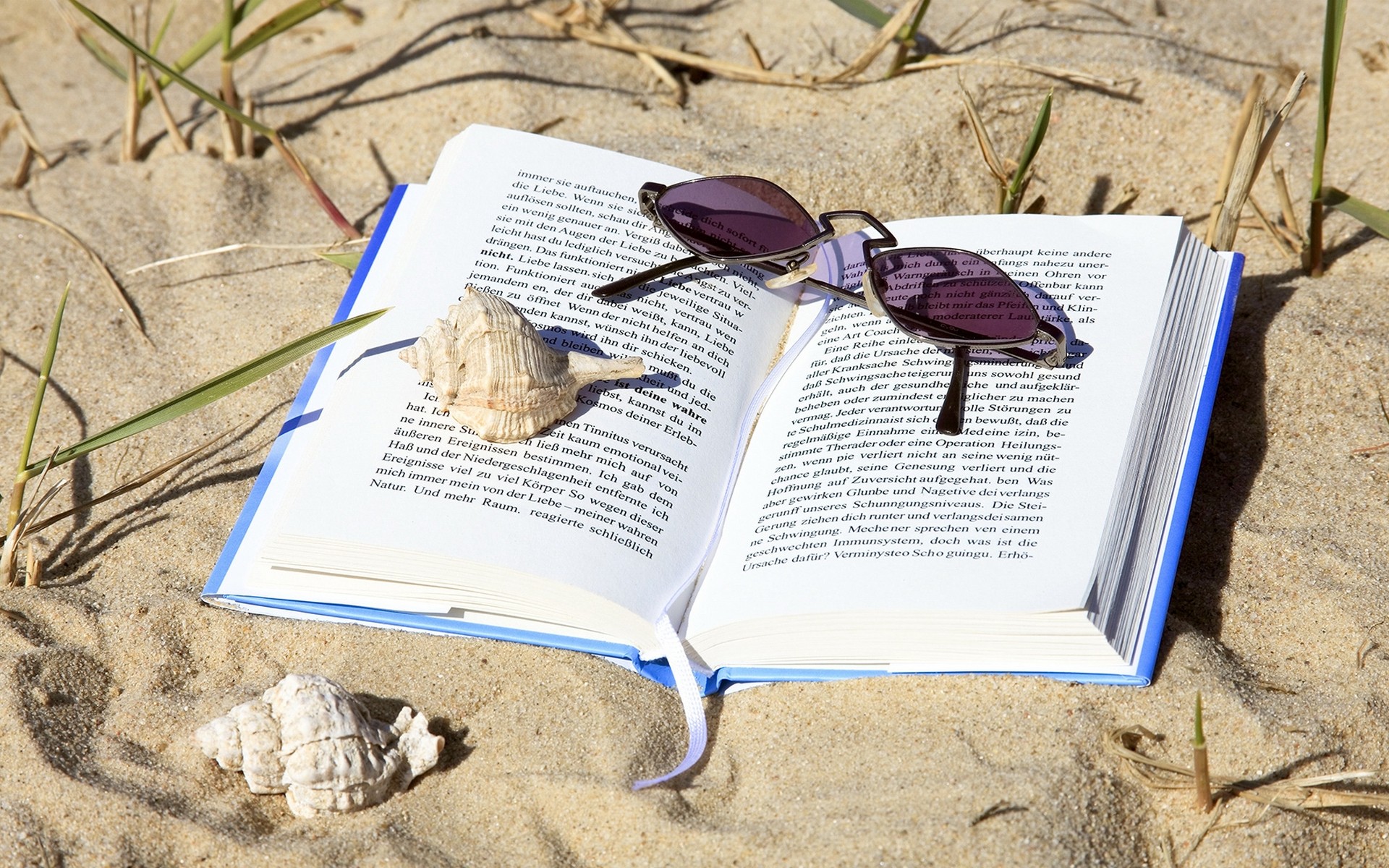 книга, читать, отвлекать