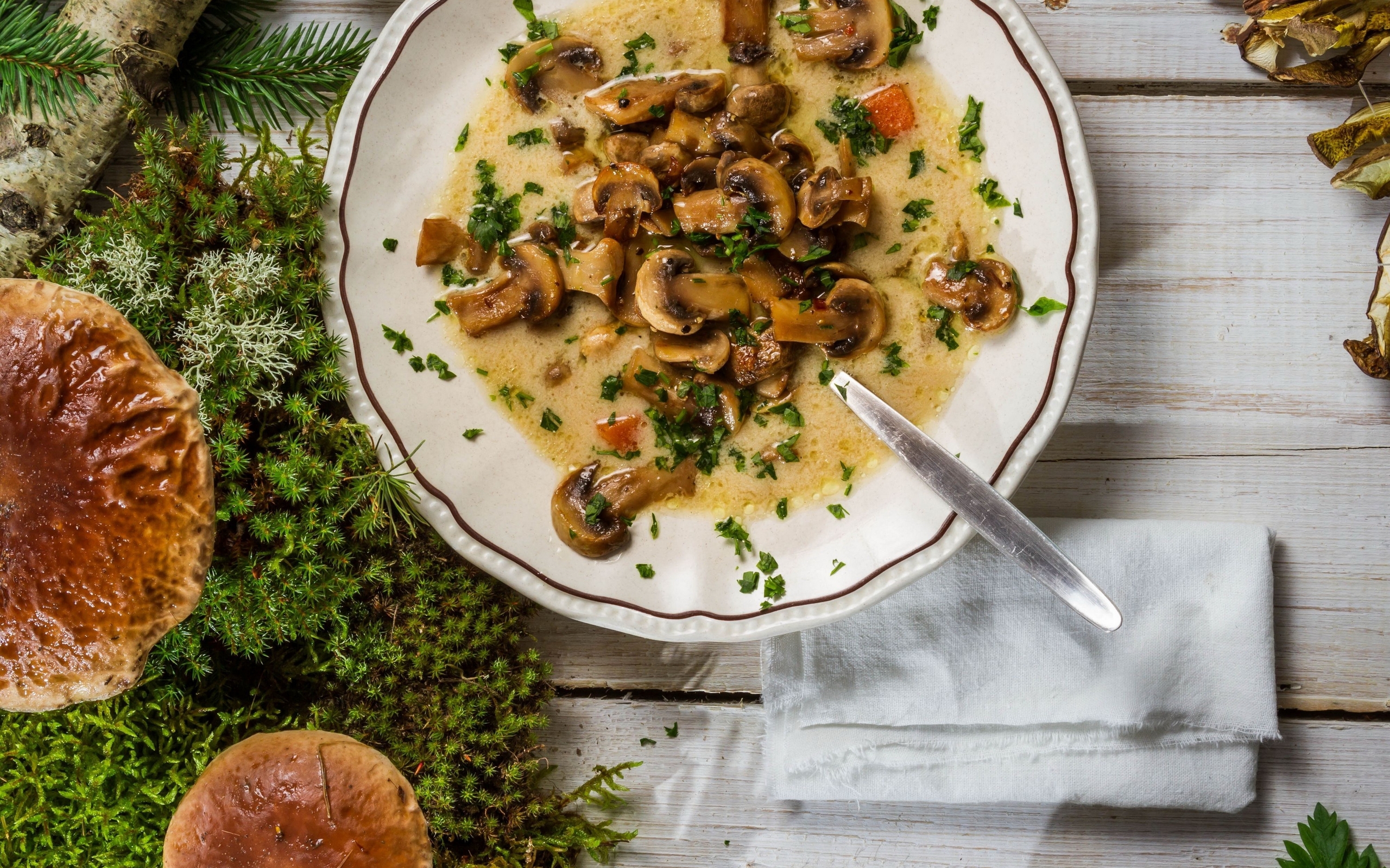 еда грибы суп food mushrooms soup бесплатно
