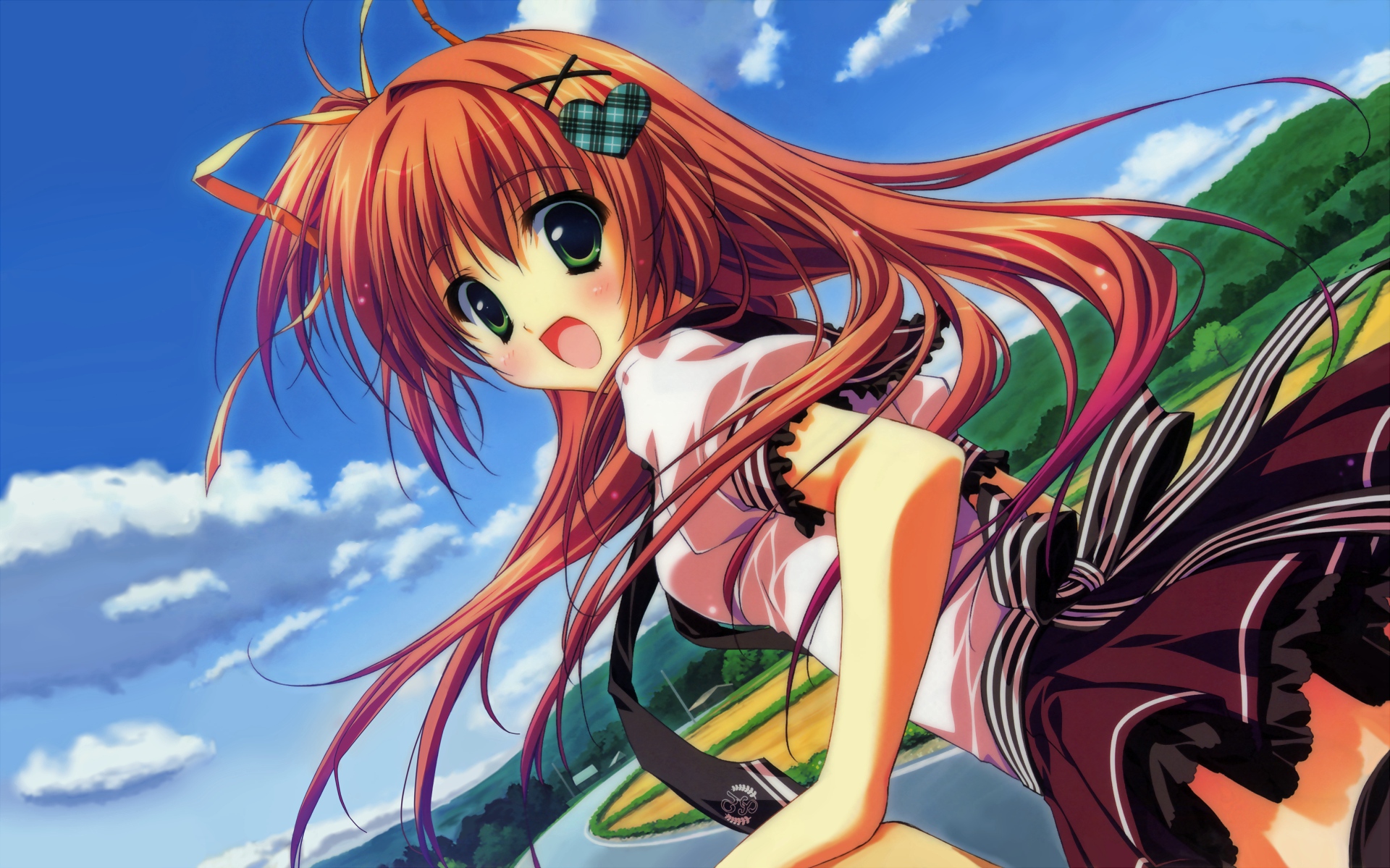 hashi, hoshizora