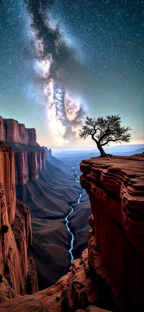 женский вид на каньон с деревом и молоком в небе