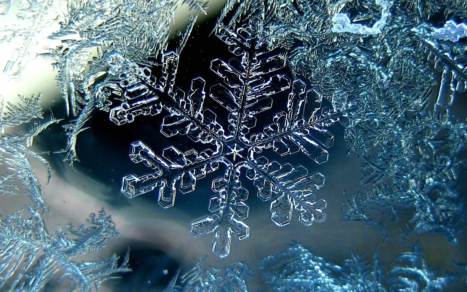 снежинки, снежинок, снежинка
