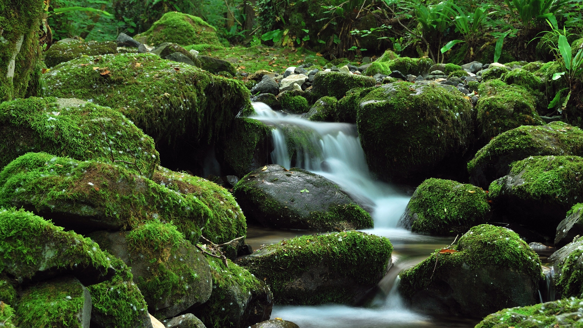 камни, ручей, зелёный