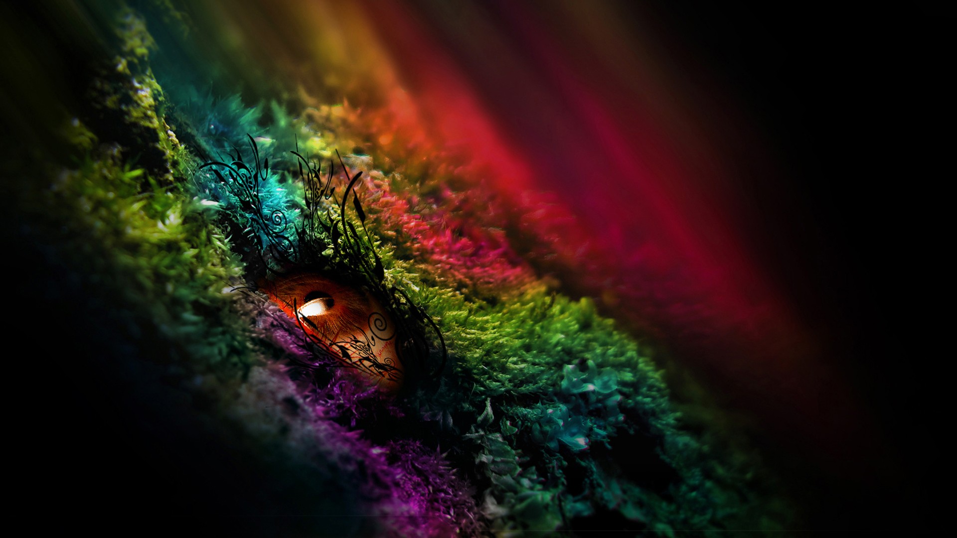 глаз, color, рост