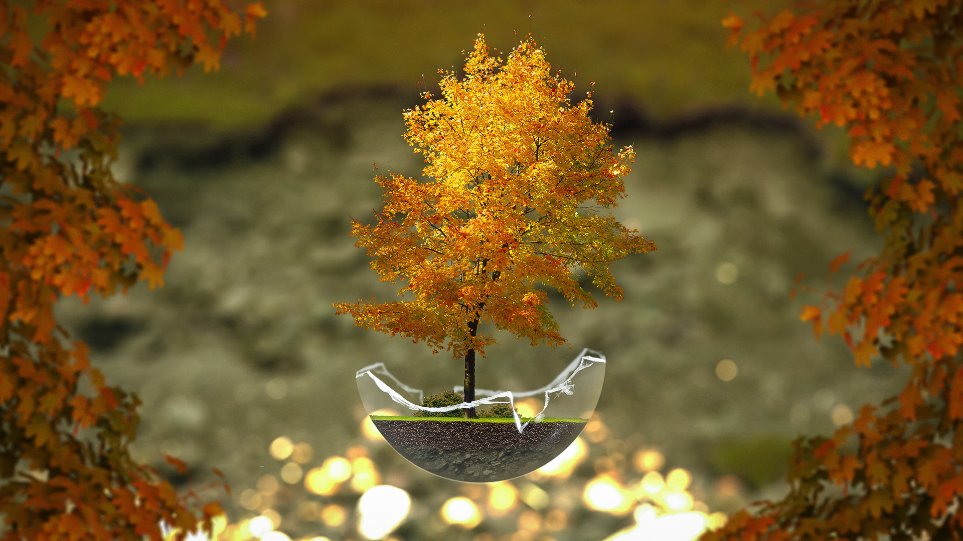 осень, растение, leaf