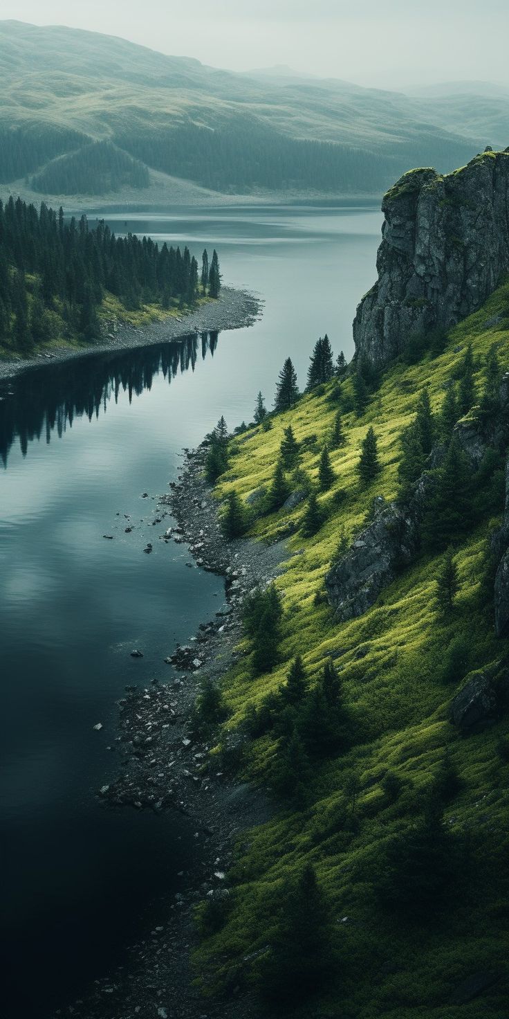 есть река, протекающая через пышную зеленую долину рядом с лесом