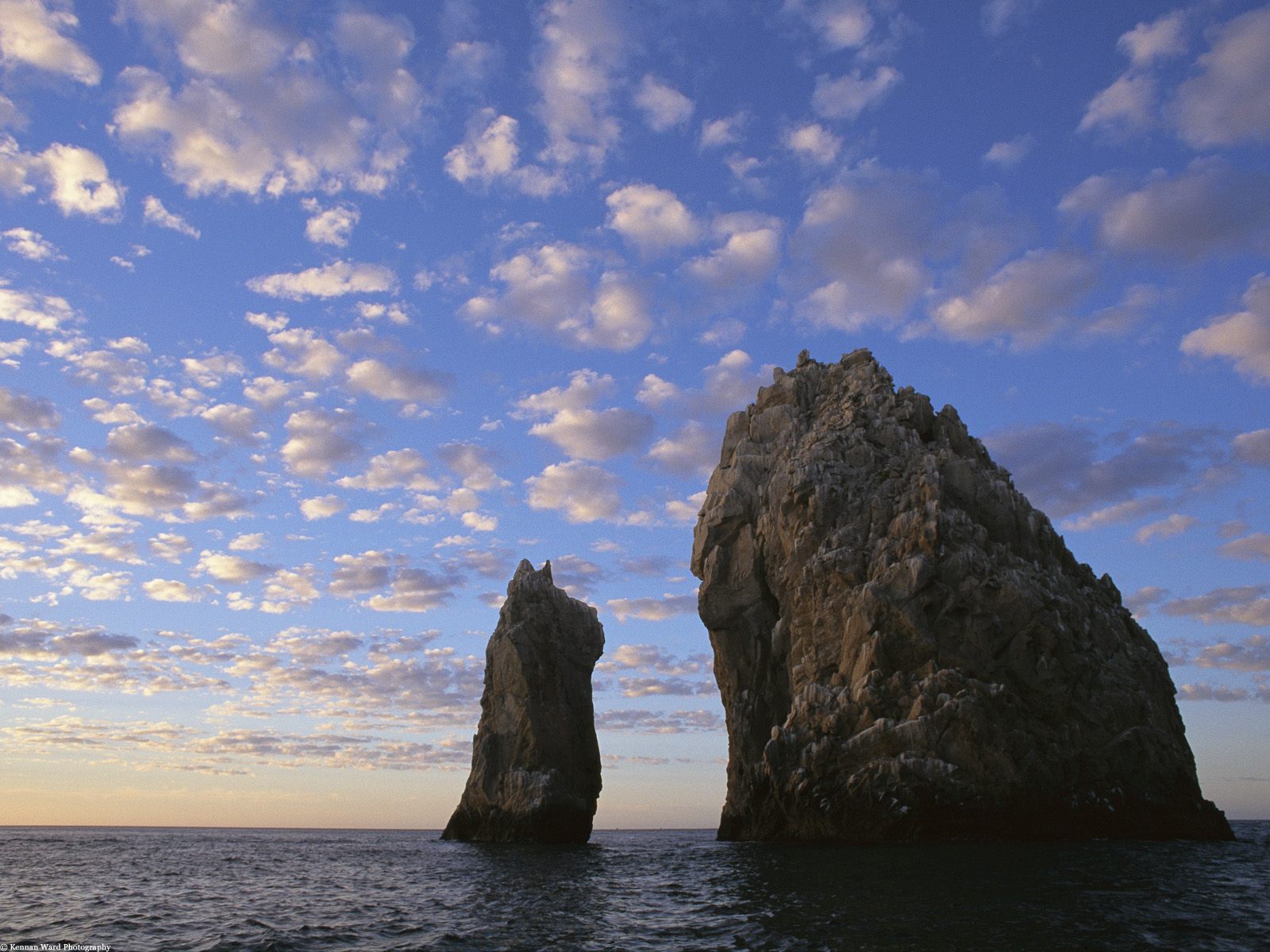 море, волосатая любовь